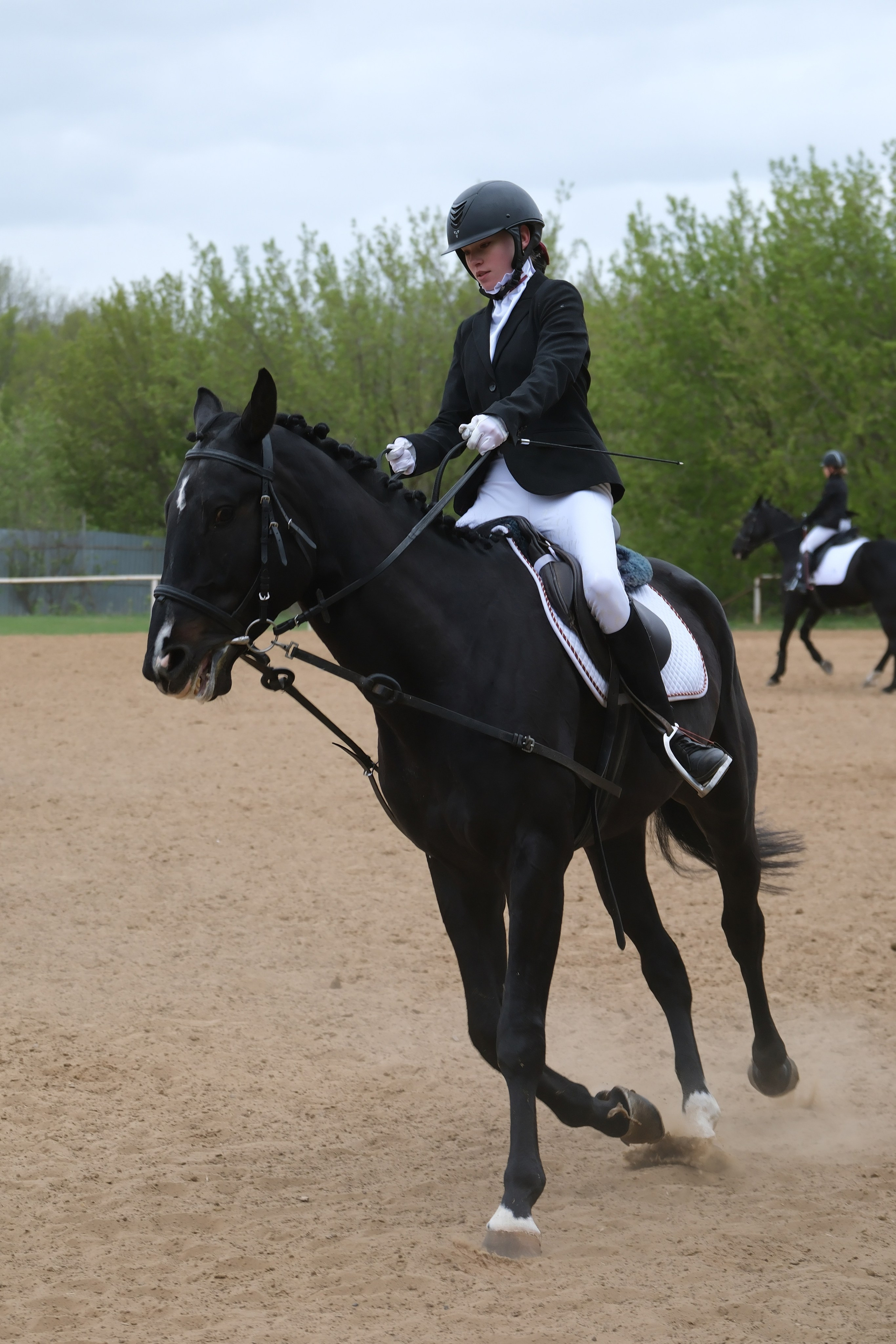 Соревнования по конному спорту в КСК «АЛЛЮР»!. Добро пожаловать в студию «Цифровой скульптор»  где искусство встречается с технологиями!