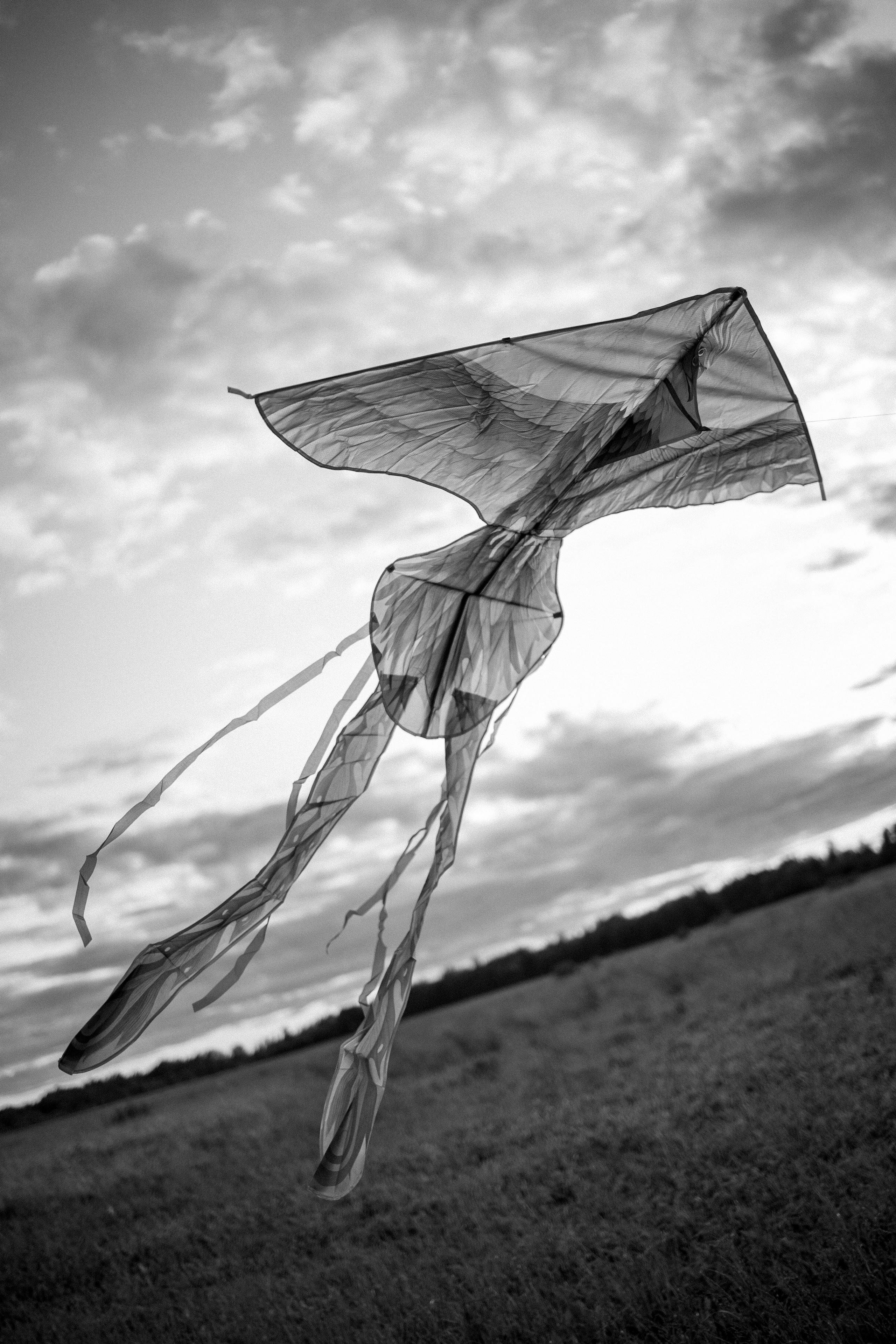 Анна и Максимус. Фотограф — Анималист | Санкт-Петербург