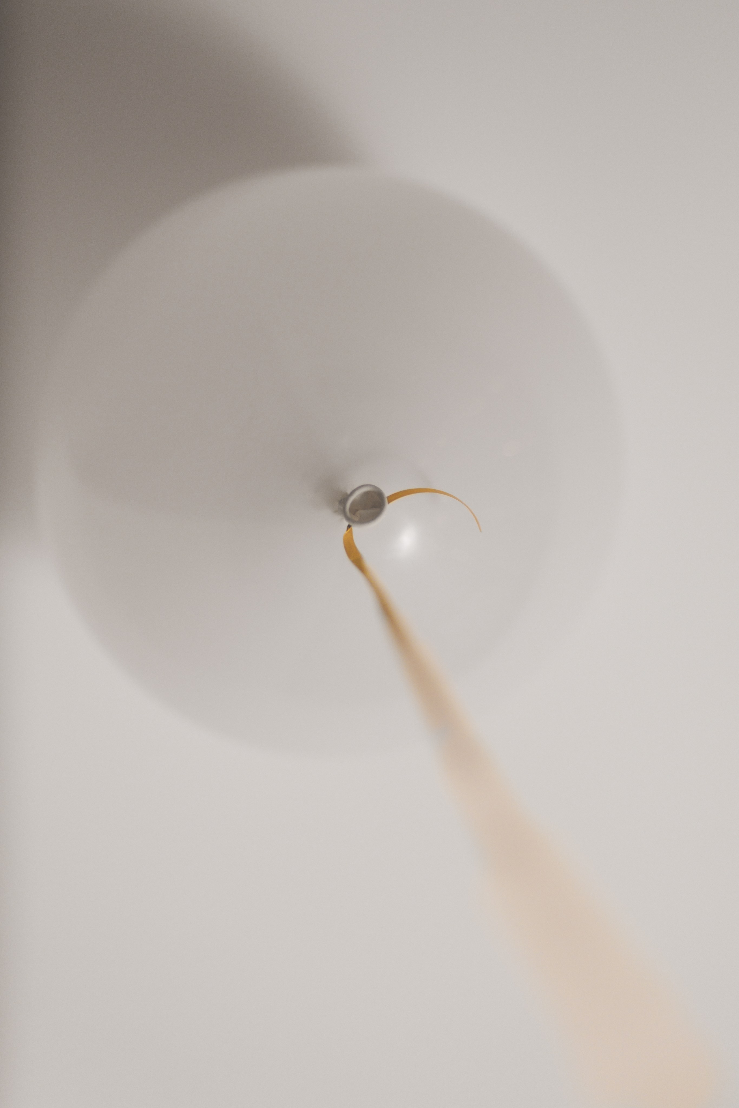 Проект «366»|2024|Фото каждый день. LENA GRACE photographer ||ЛЕНА ГРЭЙС фотограф