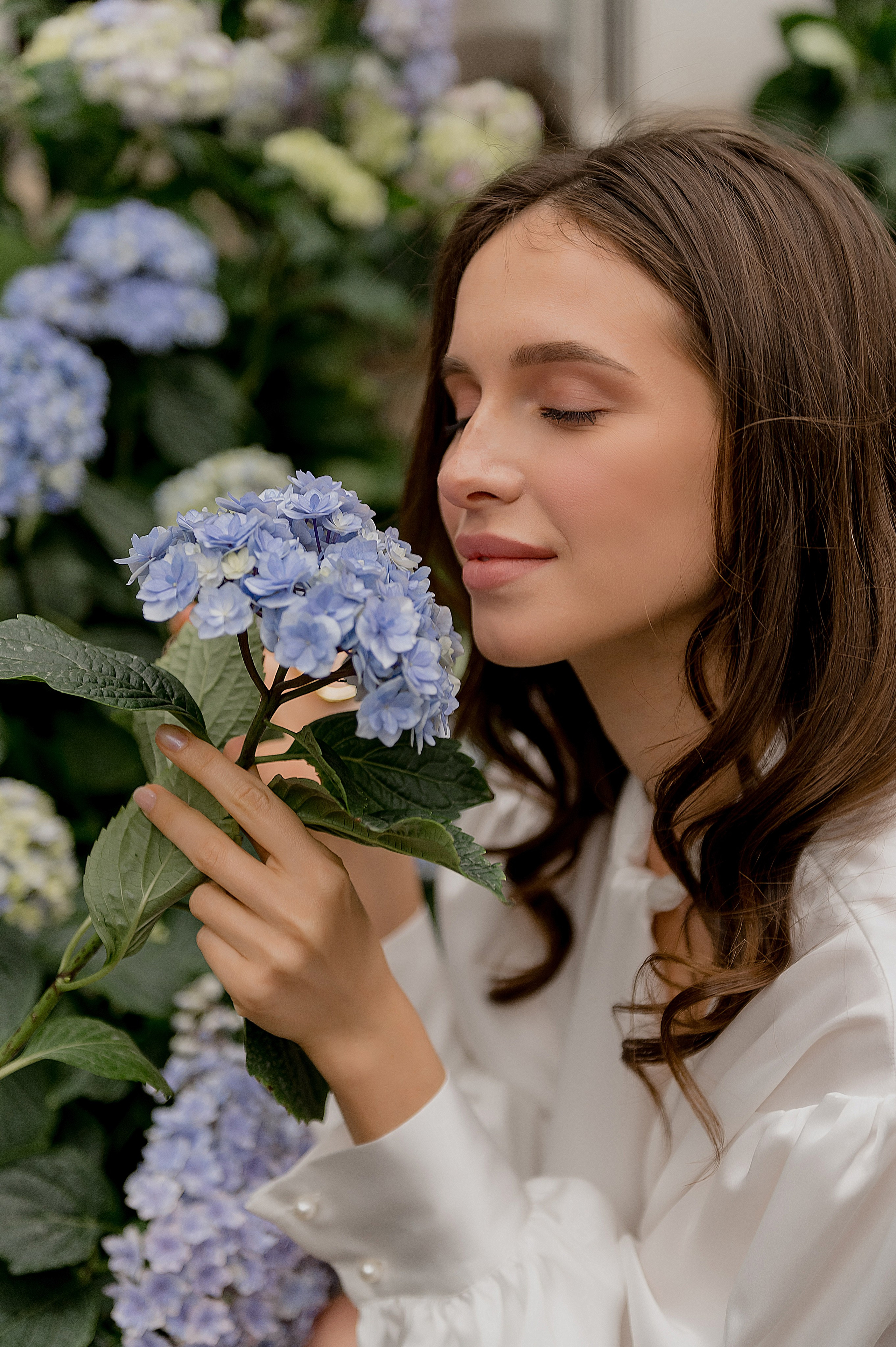 Виктор и Елена. Главная