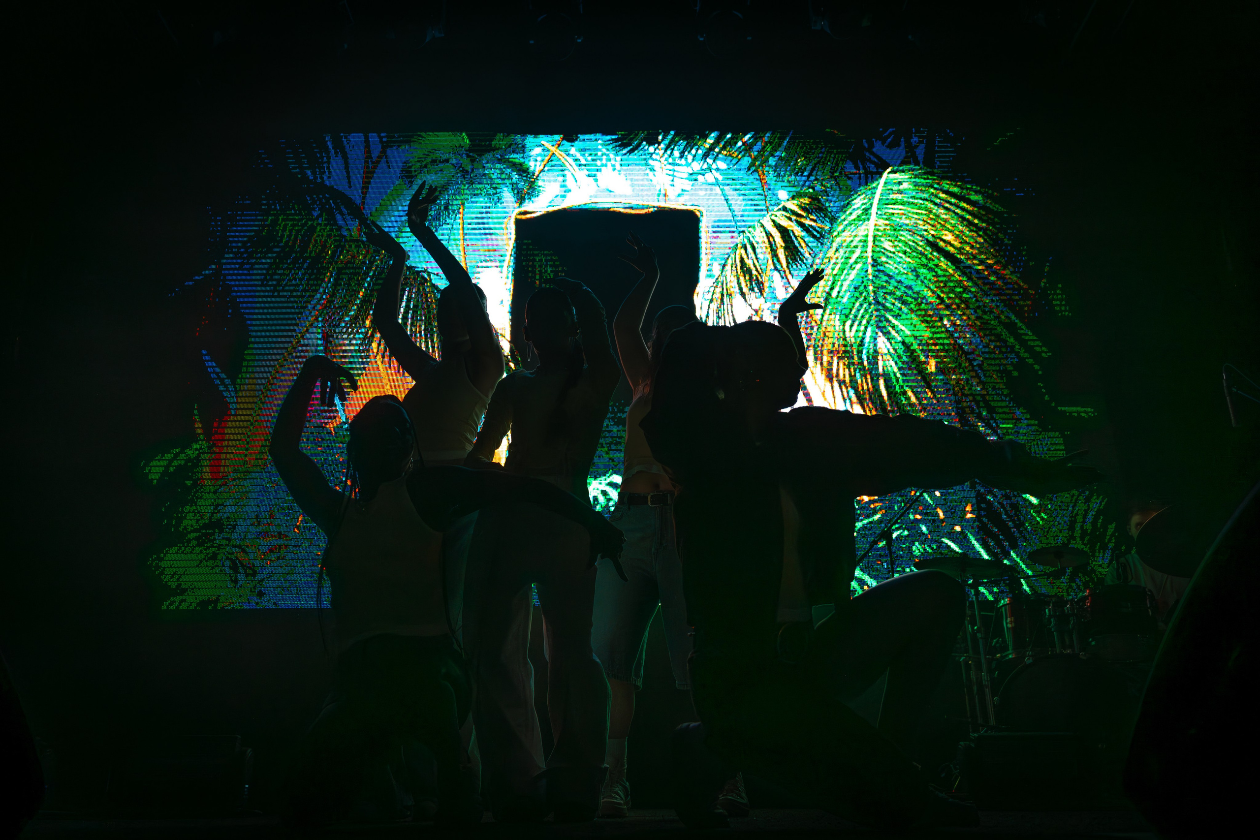 Gayana. Магия музыки в кадре: Концертная Фотография