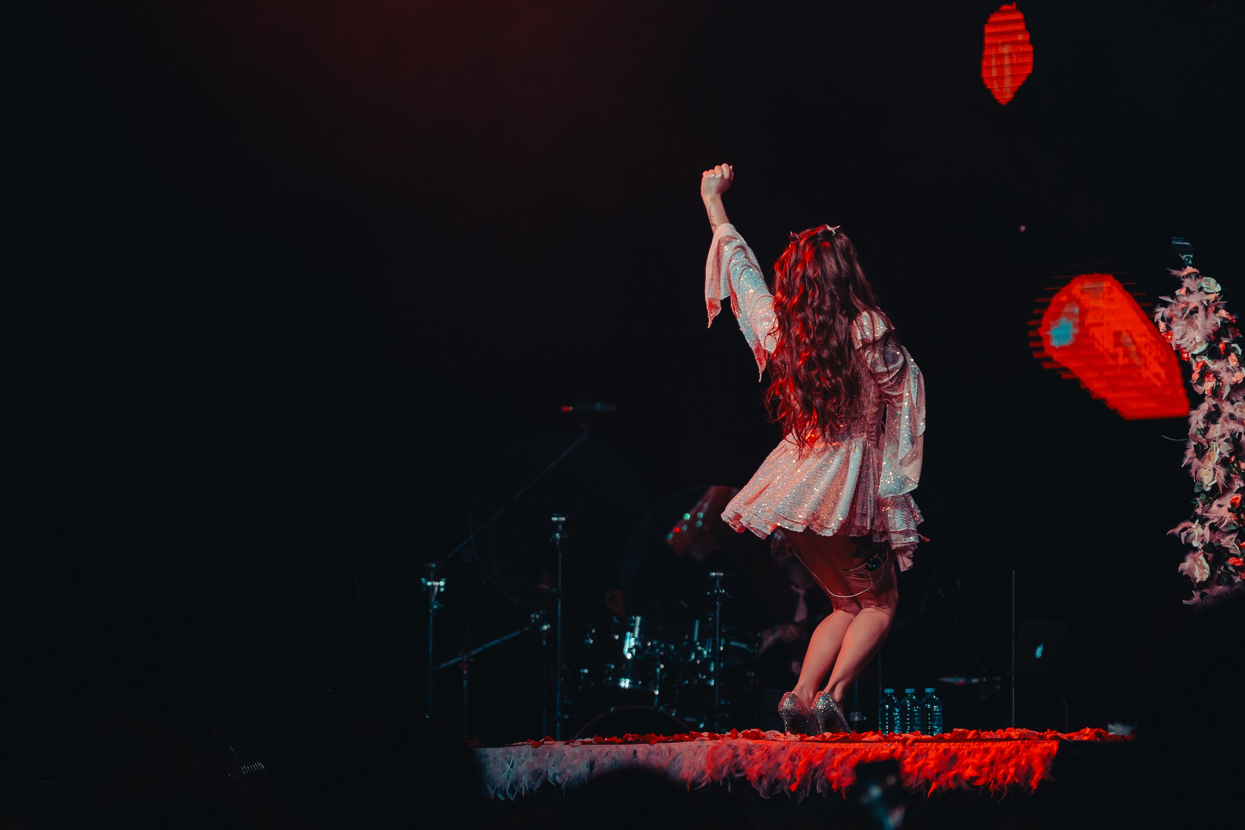 Алена Швец. Магия музыки в кадре: Концертная Фотография