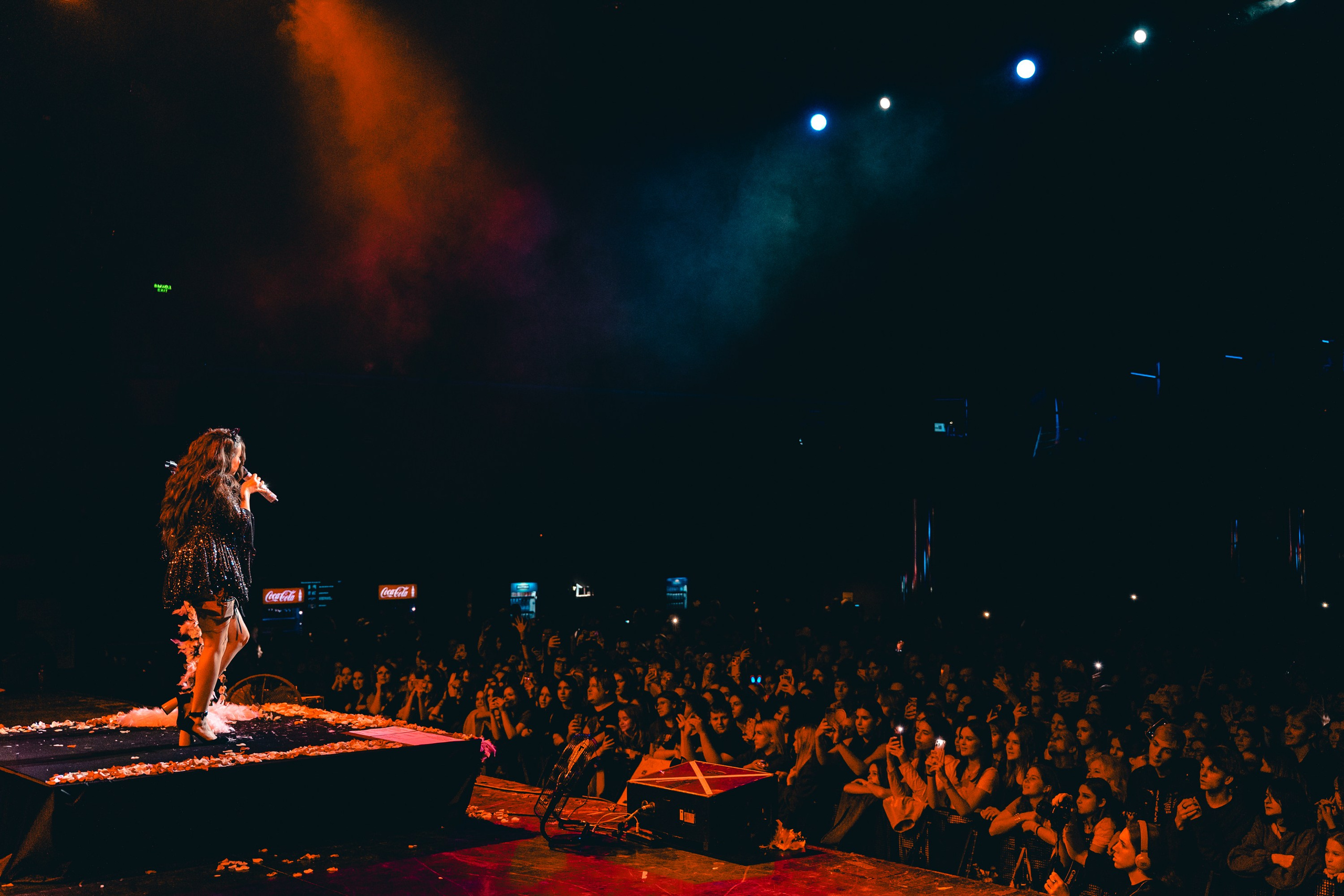 Алена Швец. Магия музыки в кадре: Концертная Фотография