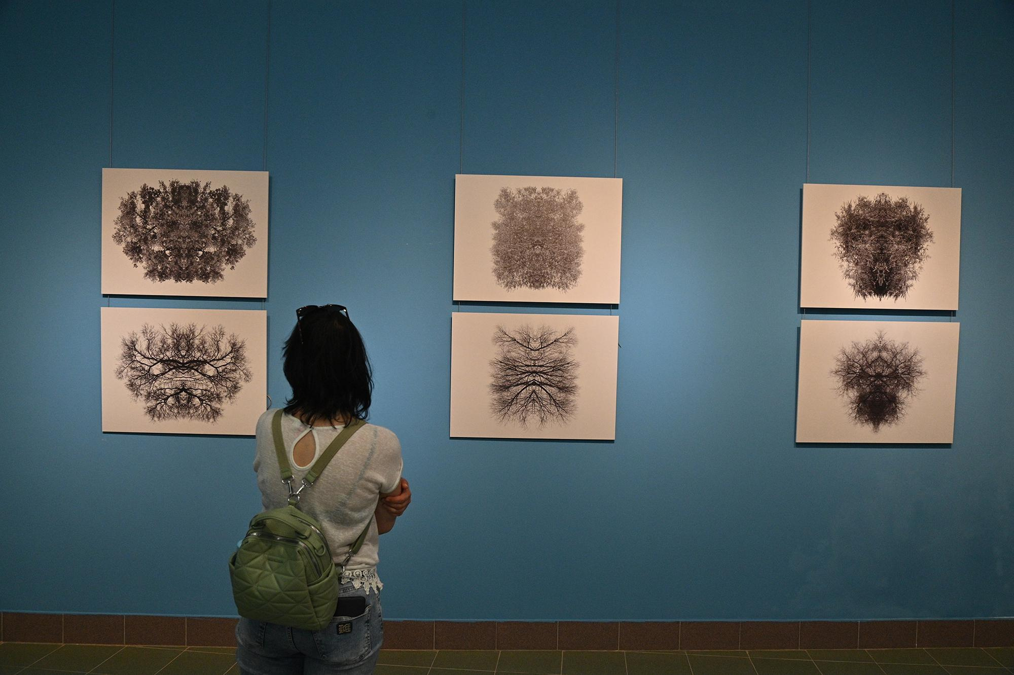 Острова. Анна Порошина — междисциплинарный художник