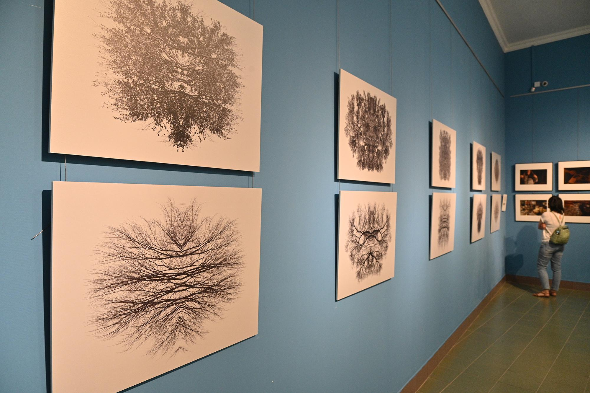 Острова. Анна Порошина — междисциплинарный художник