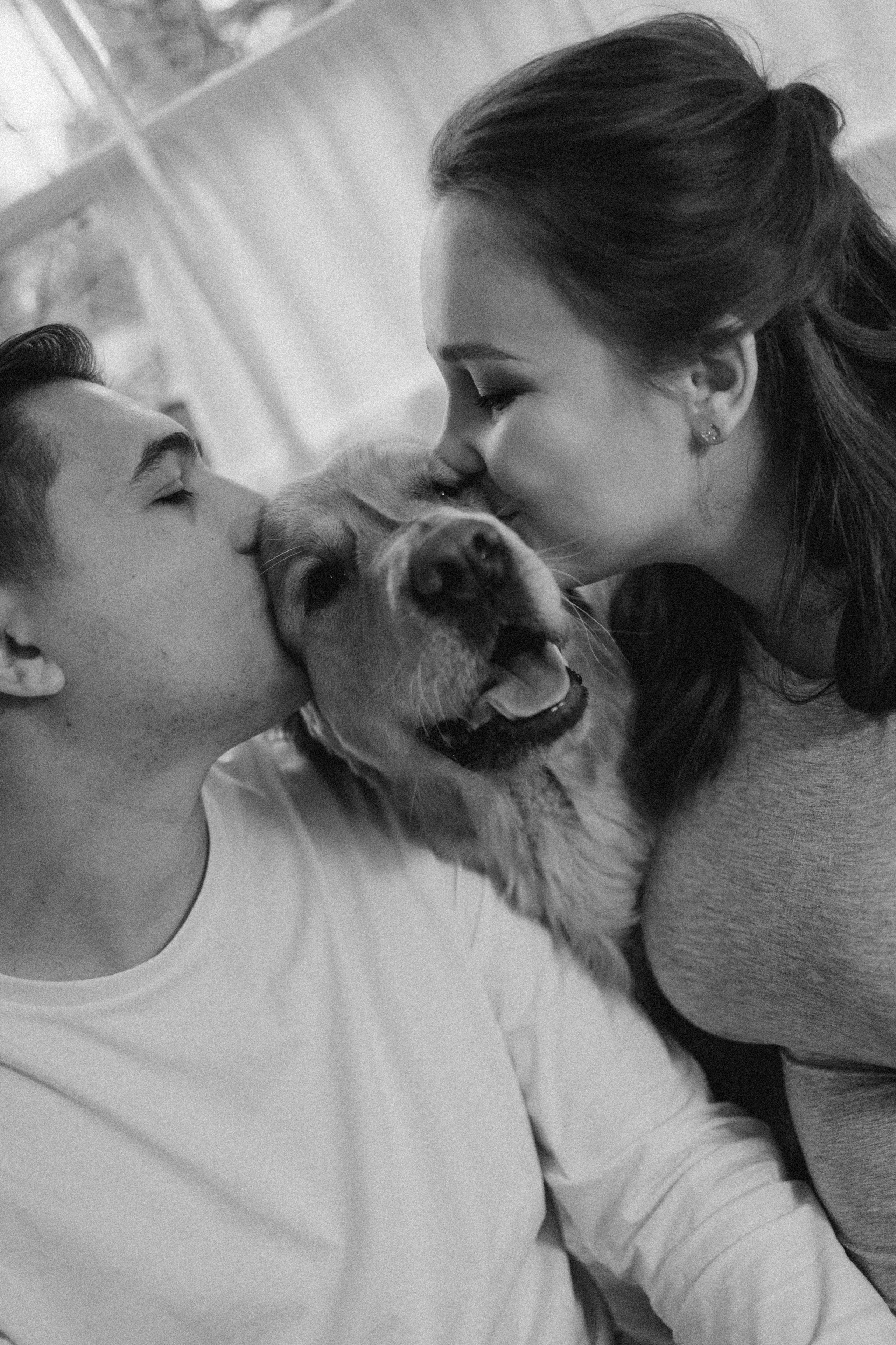 Вегас, Веник и их семья. Фотограф — Анималист | Санкт-Петербург