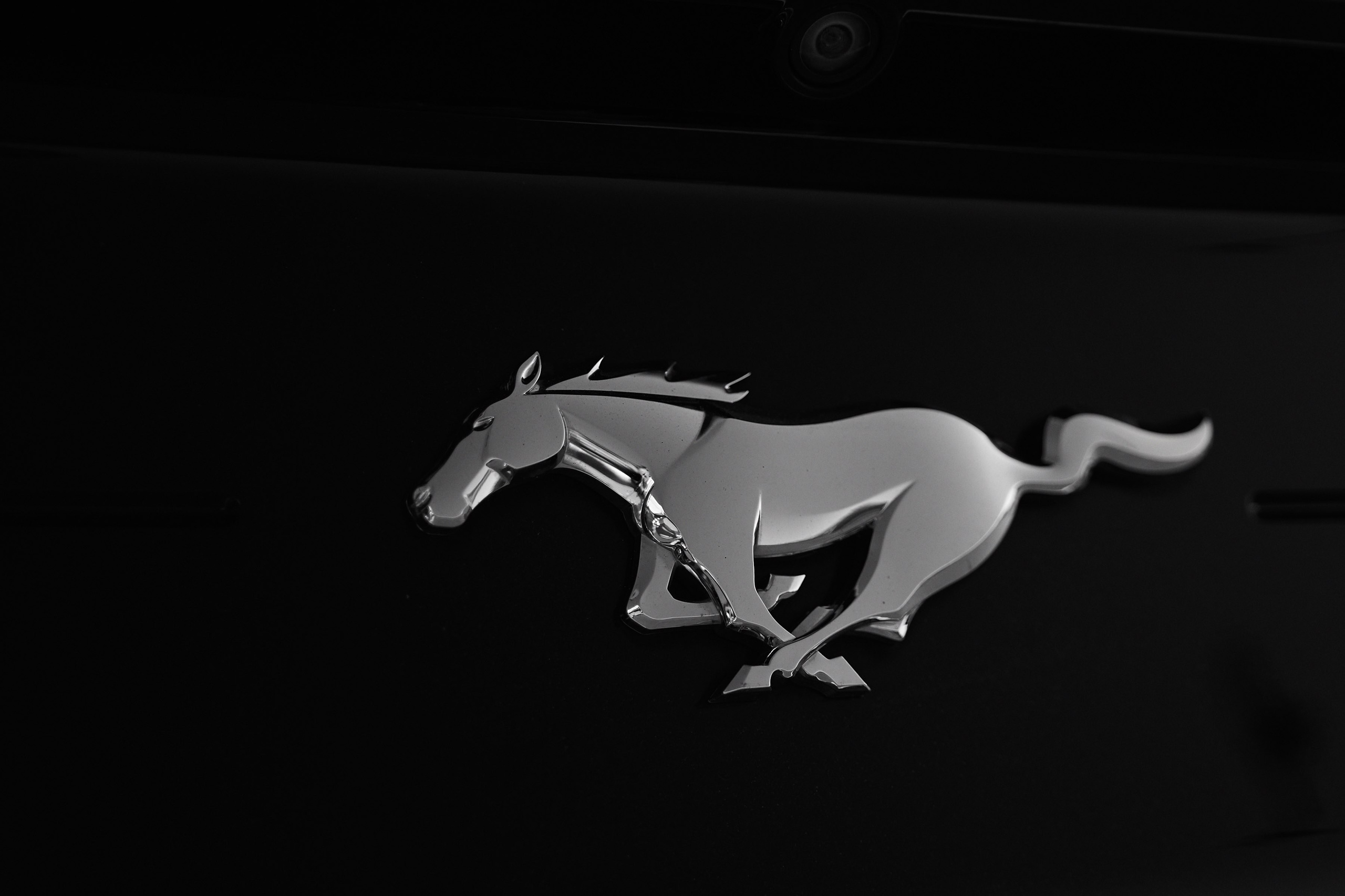 Владислав и Мария. Свадебный и Репортажный фотограф в Санкт-Петербурге Дмитрий Бирцев