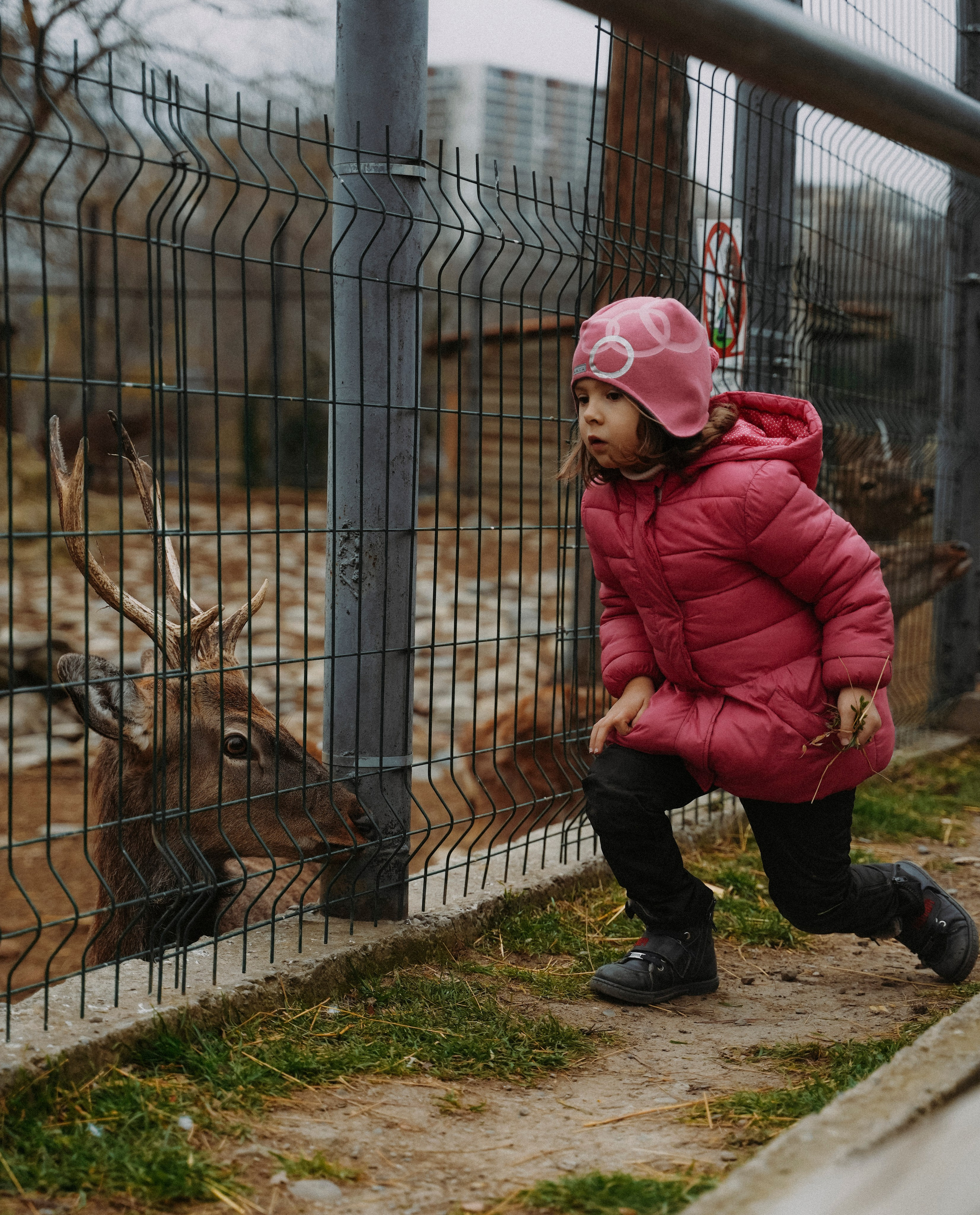 ТБИЛИСИ 2023-2024. Стрит-фотография, полная абсурда, идиотизма и красоты