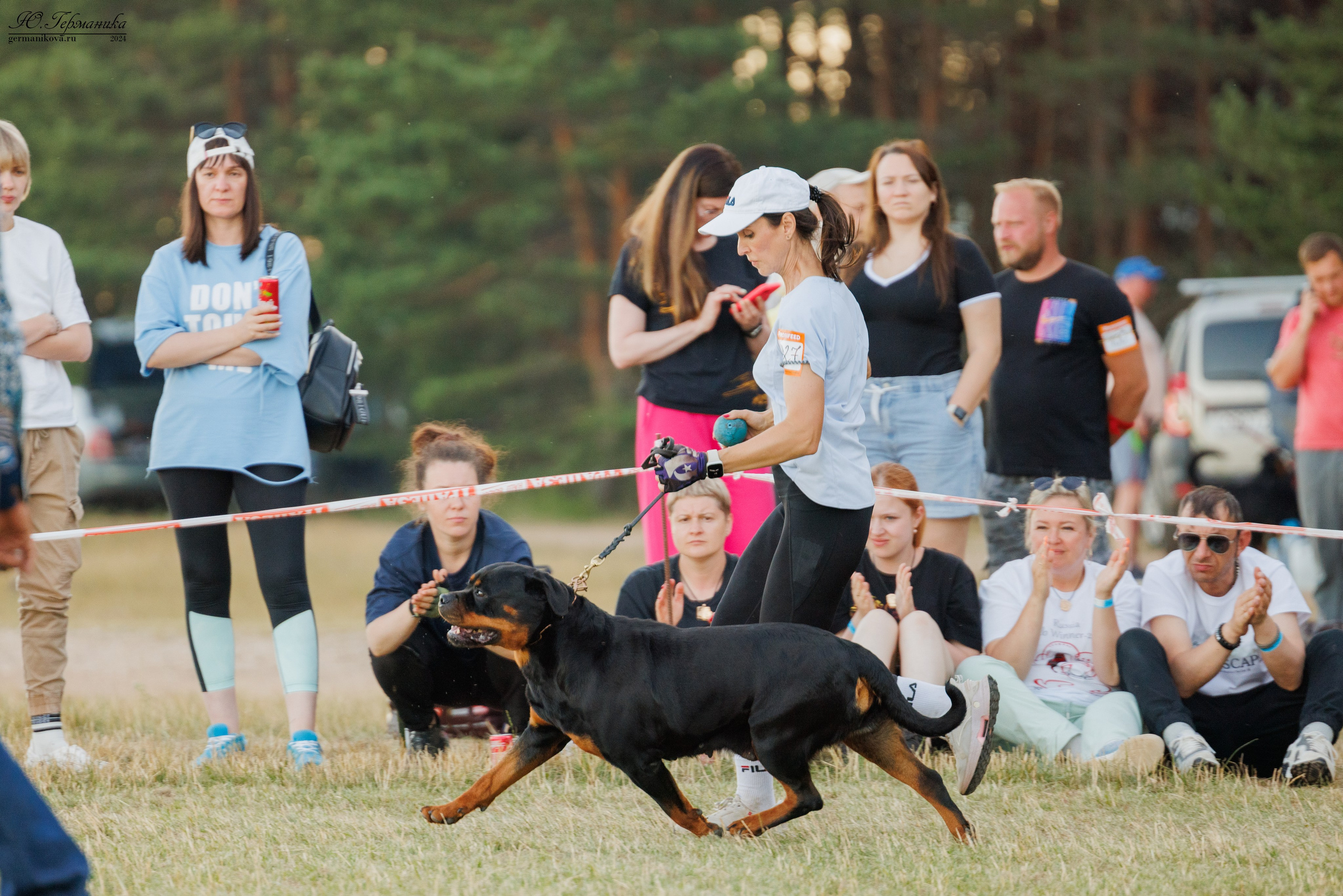 ПК и КЧК ротвейлеры Тверь 6-7.07.2024. Фотограф-анималист Юлия Германика