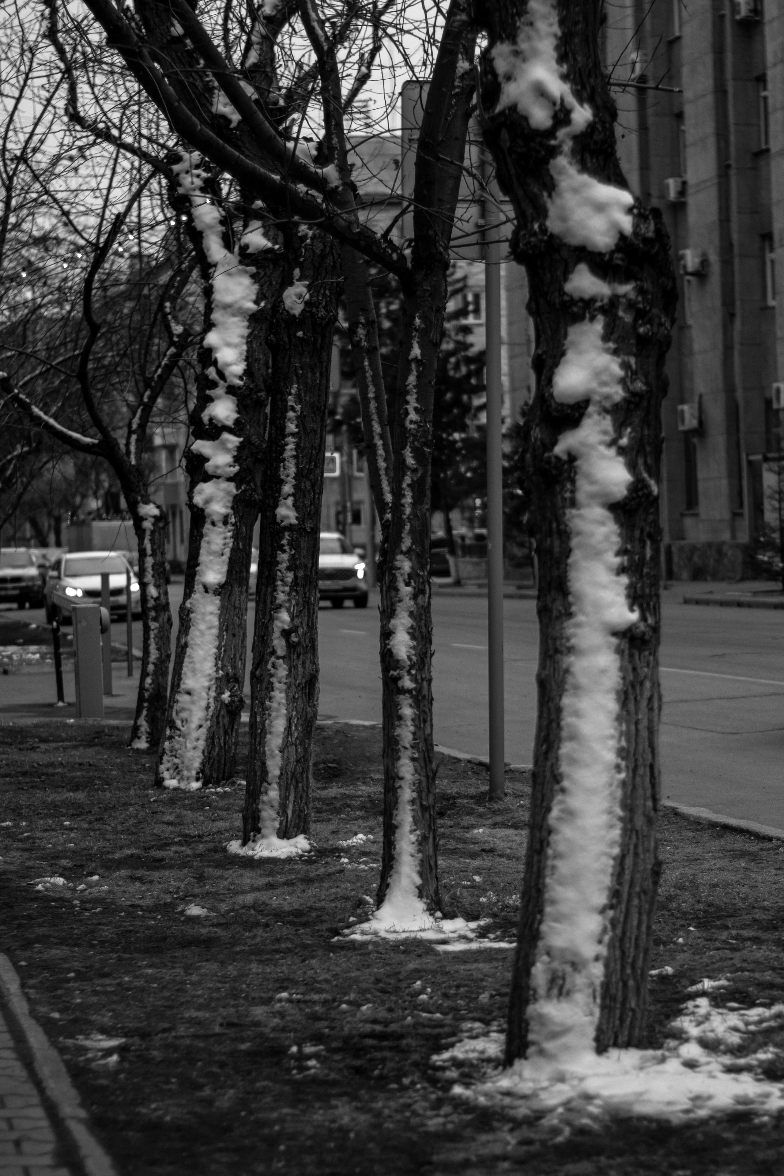 24.04.2024 | Красноярск. Kuznetsov | Фотограф в Красноярске