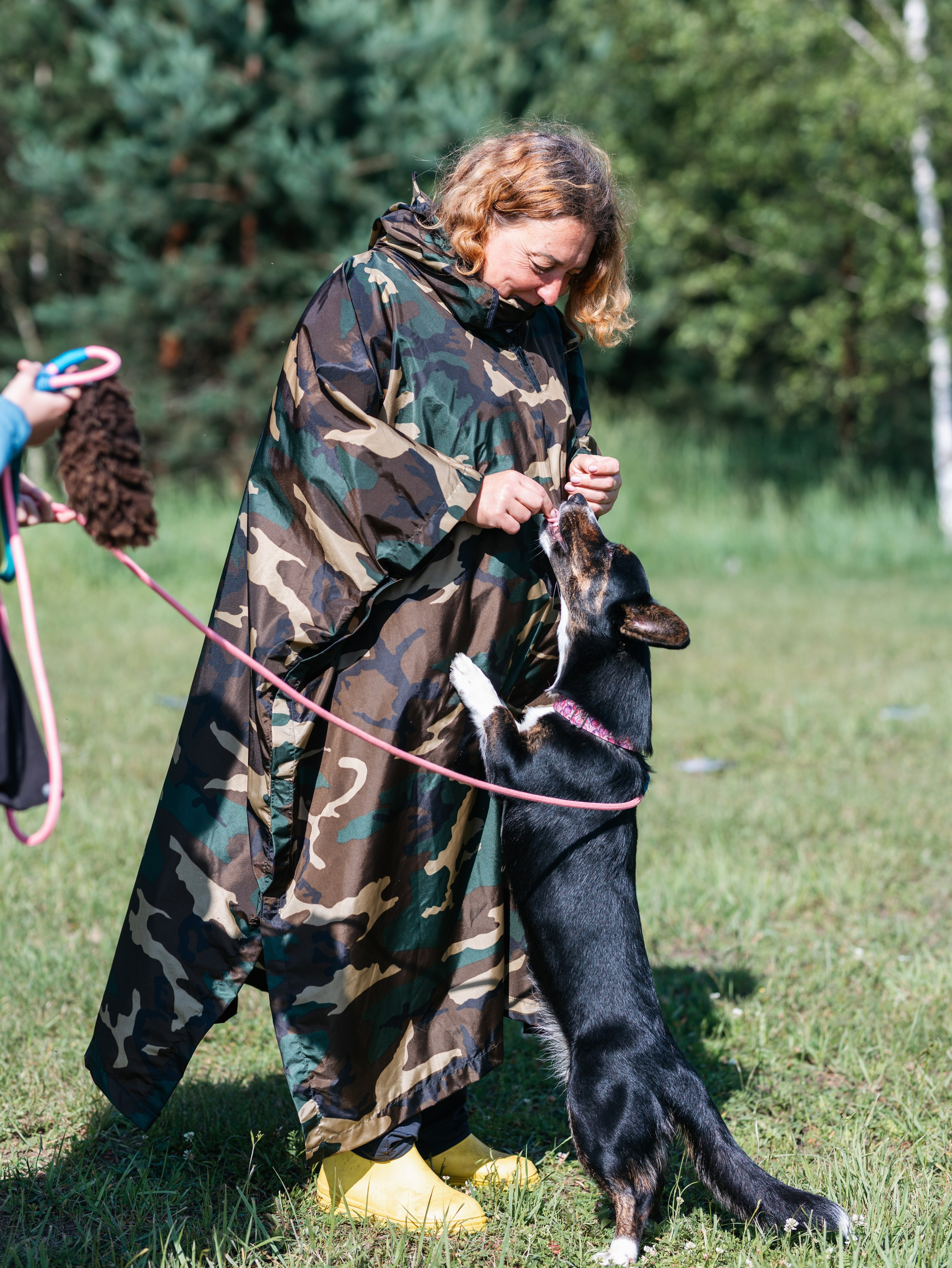 Лагерь ноузворк. Фотограф-анималист в Москве Кириллова Татьяна