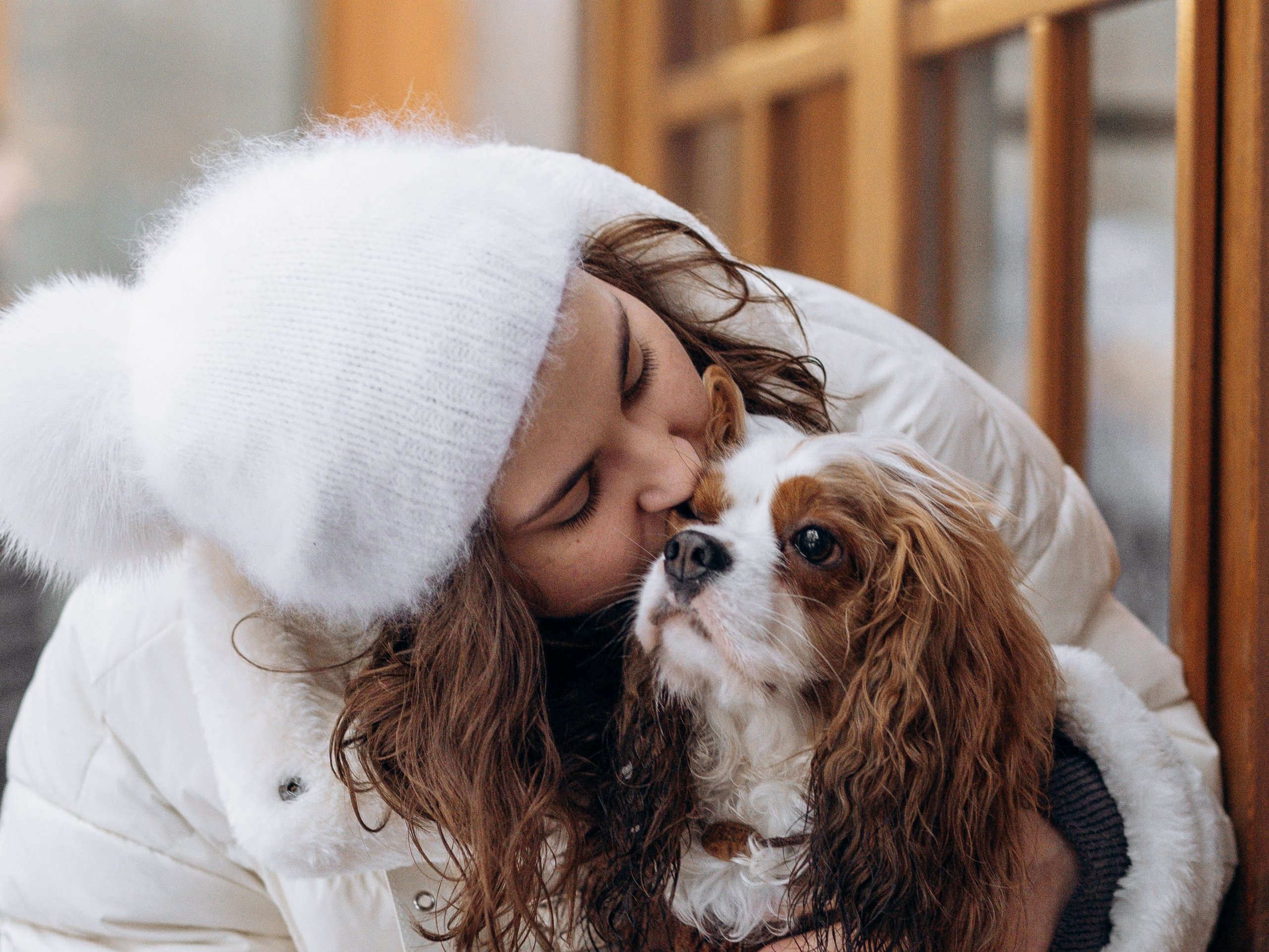 Дарси и Маша. Фотограф-анималист в Москве Кириллова Татьяна