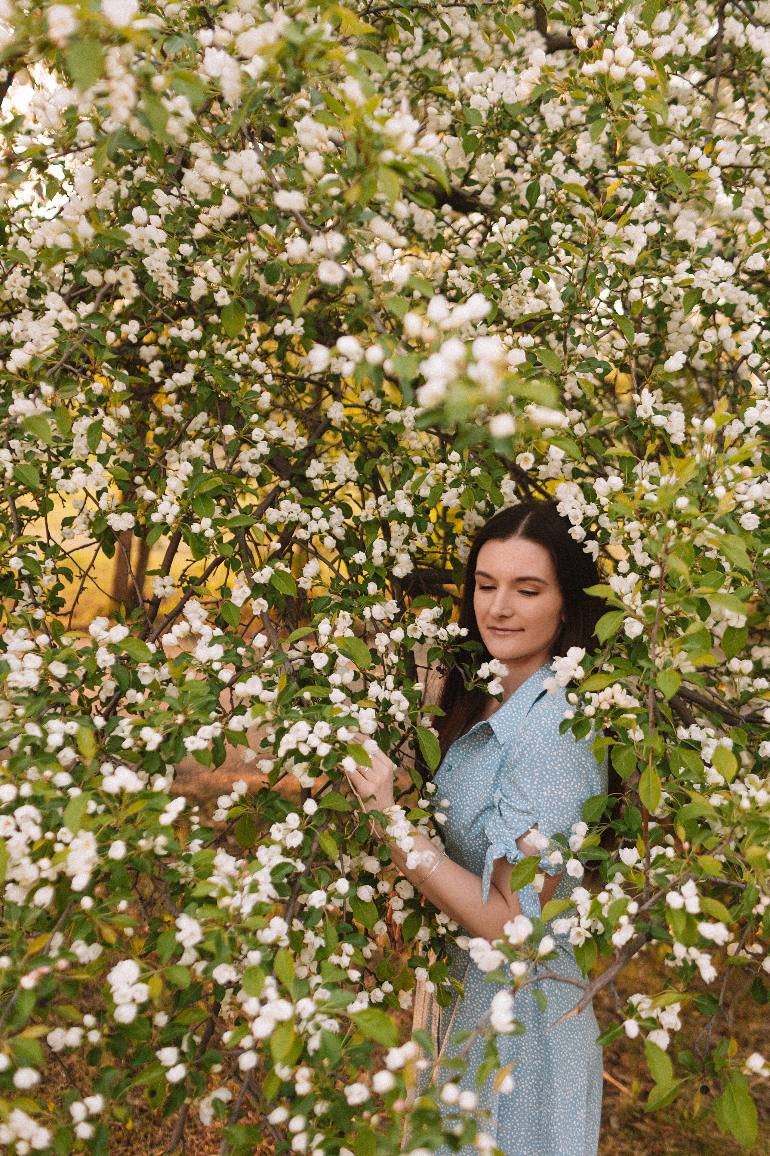 Яблони. Семейный фотограф Тюмень, фотограф на роды Салмина Мария
