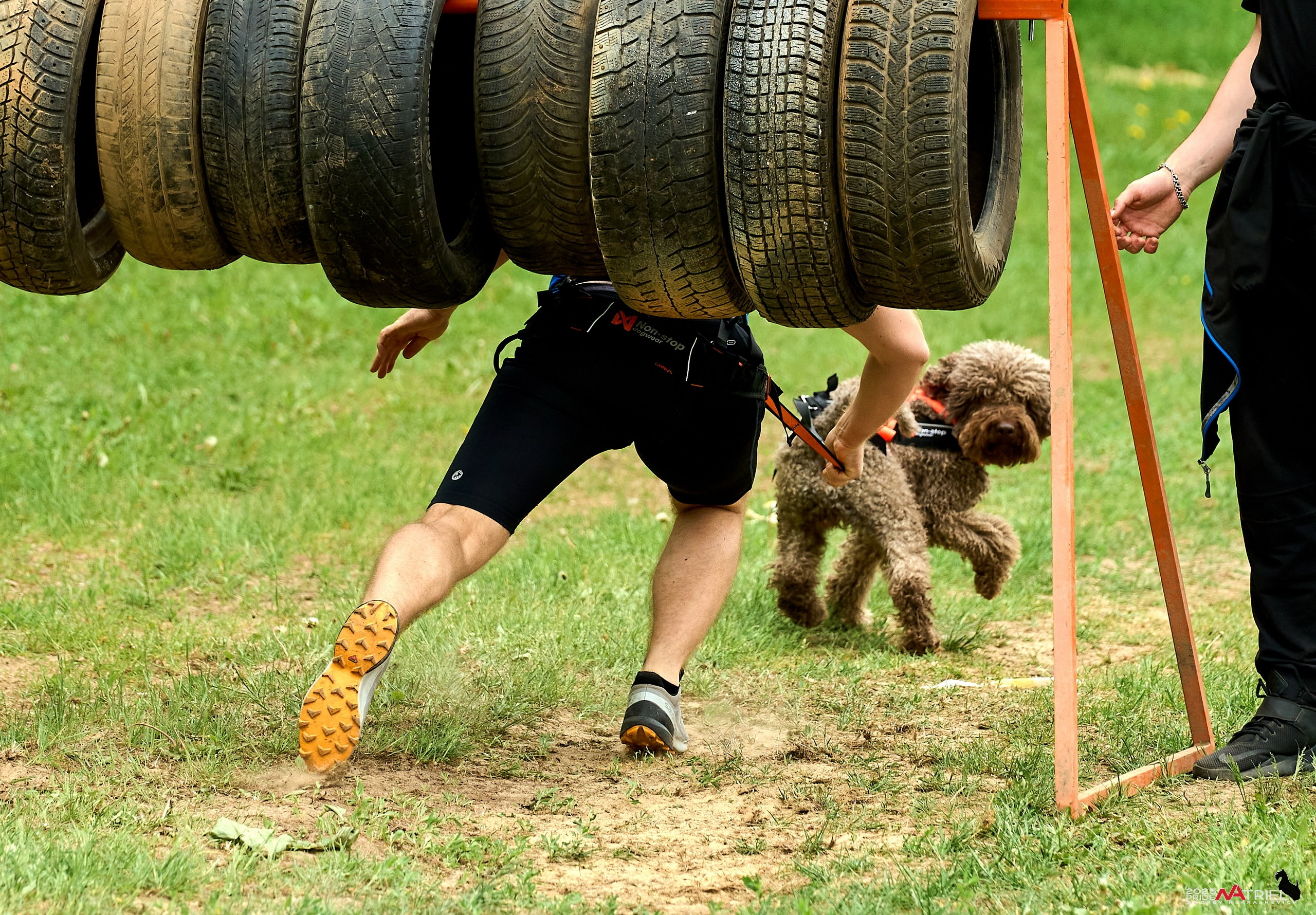 Russian Extreme Dog Trail — 2025