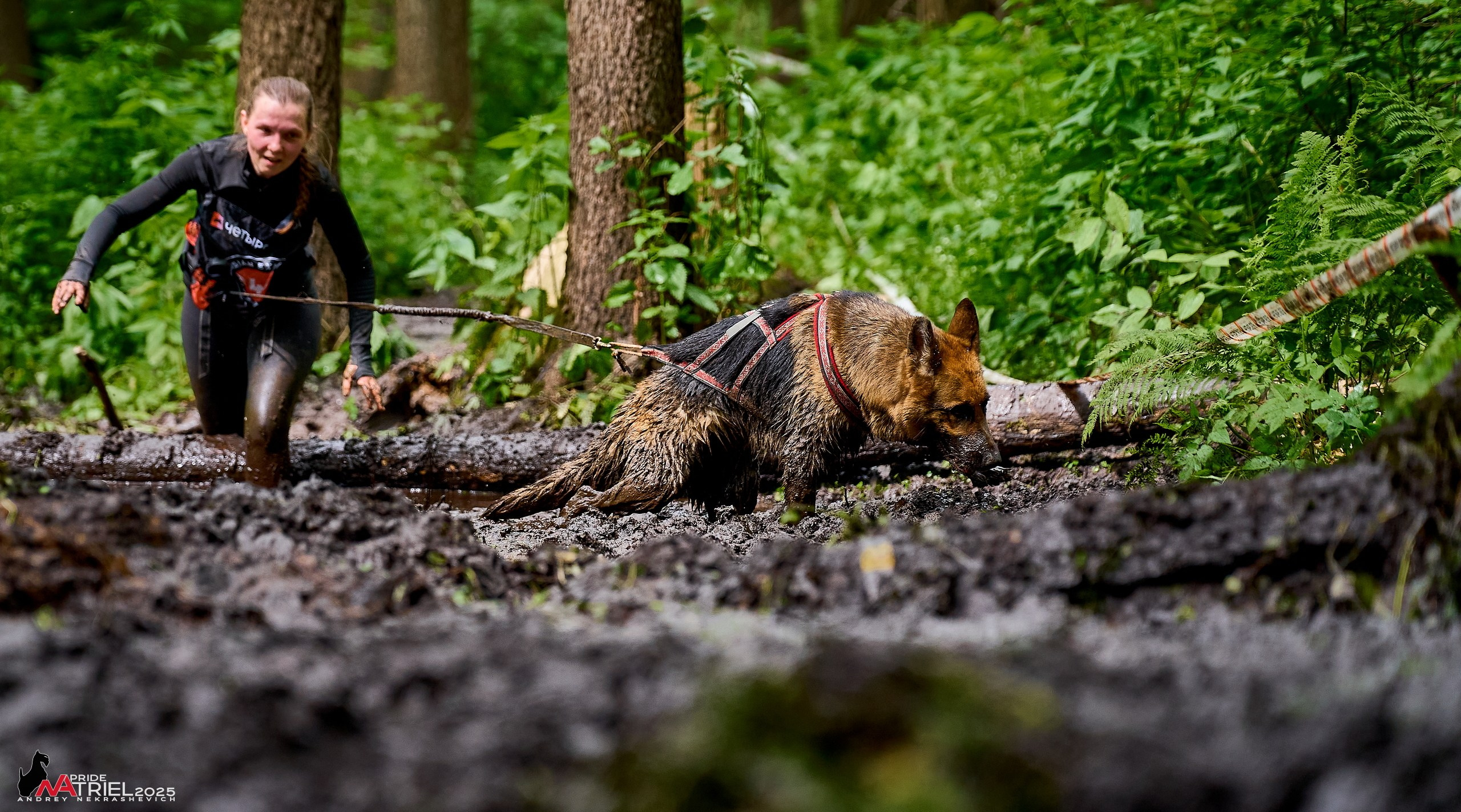 Russian Extreme Dog Trail — 2025