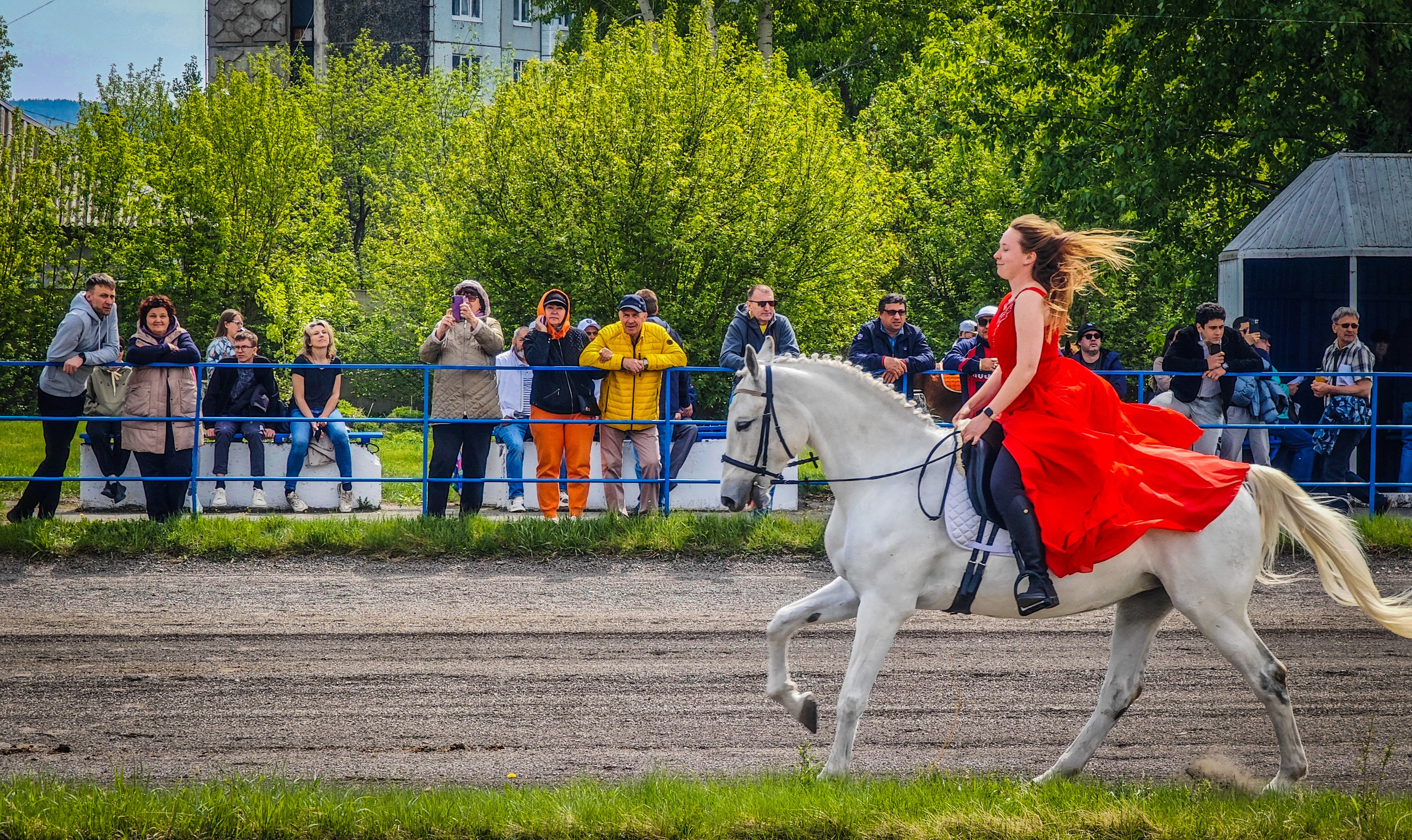 Красноярский ипподром. Открытие сезона 2025. Игорь Урывский. Фотограф Красноярск