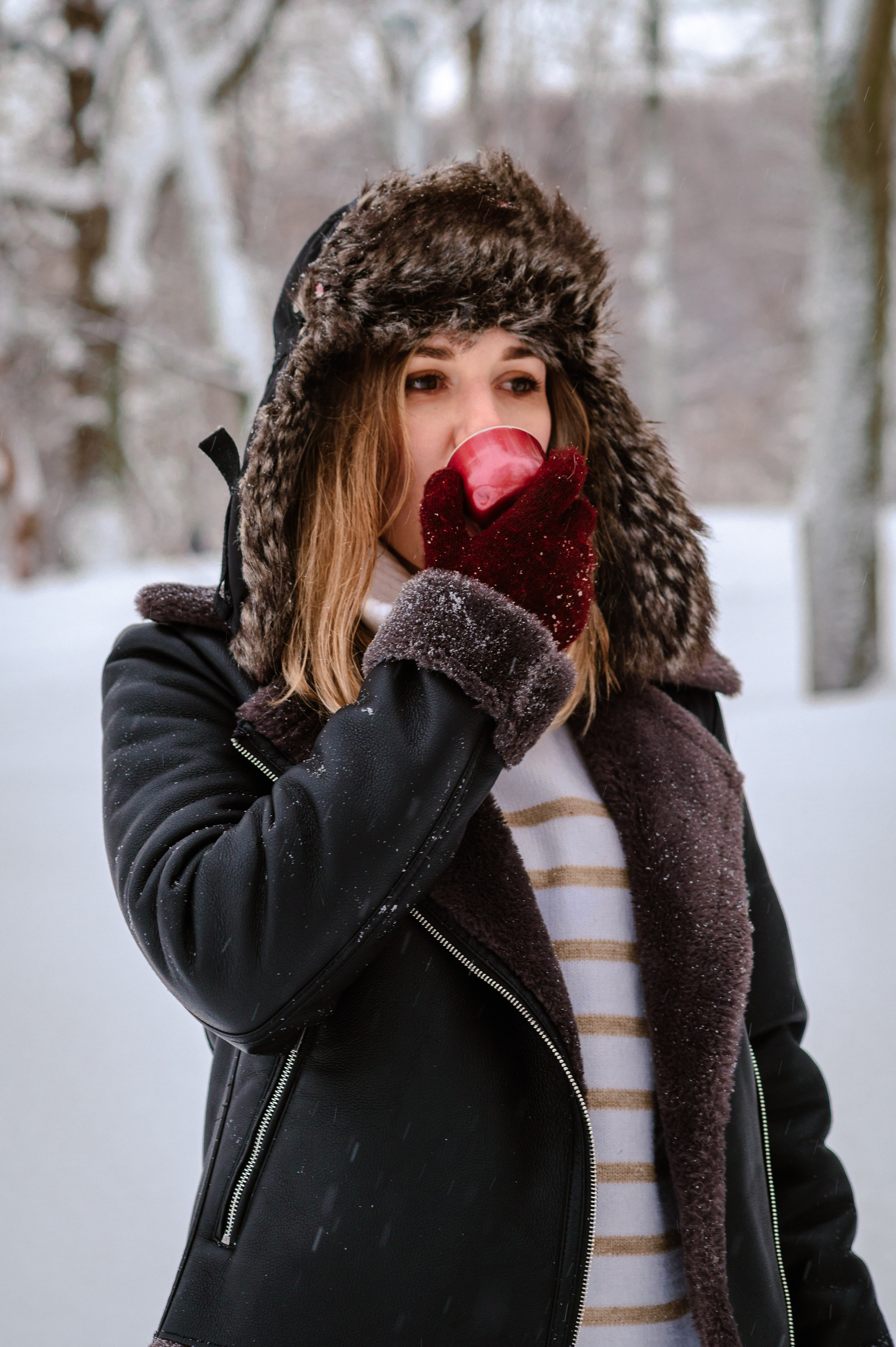 Зима. Фотограф Елена Новикова