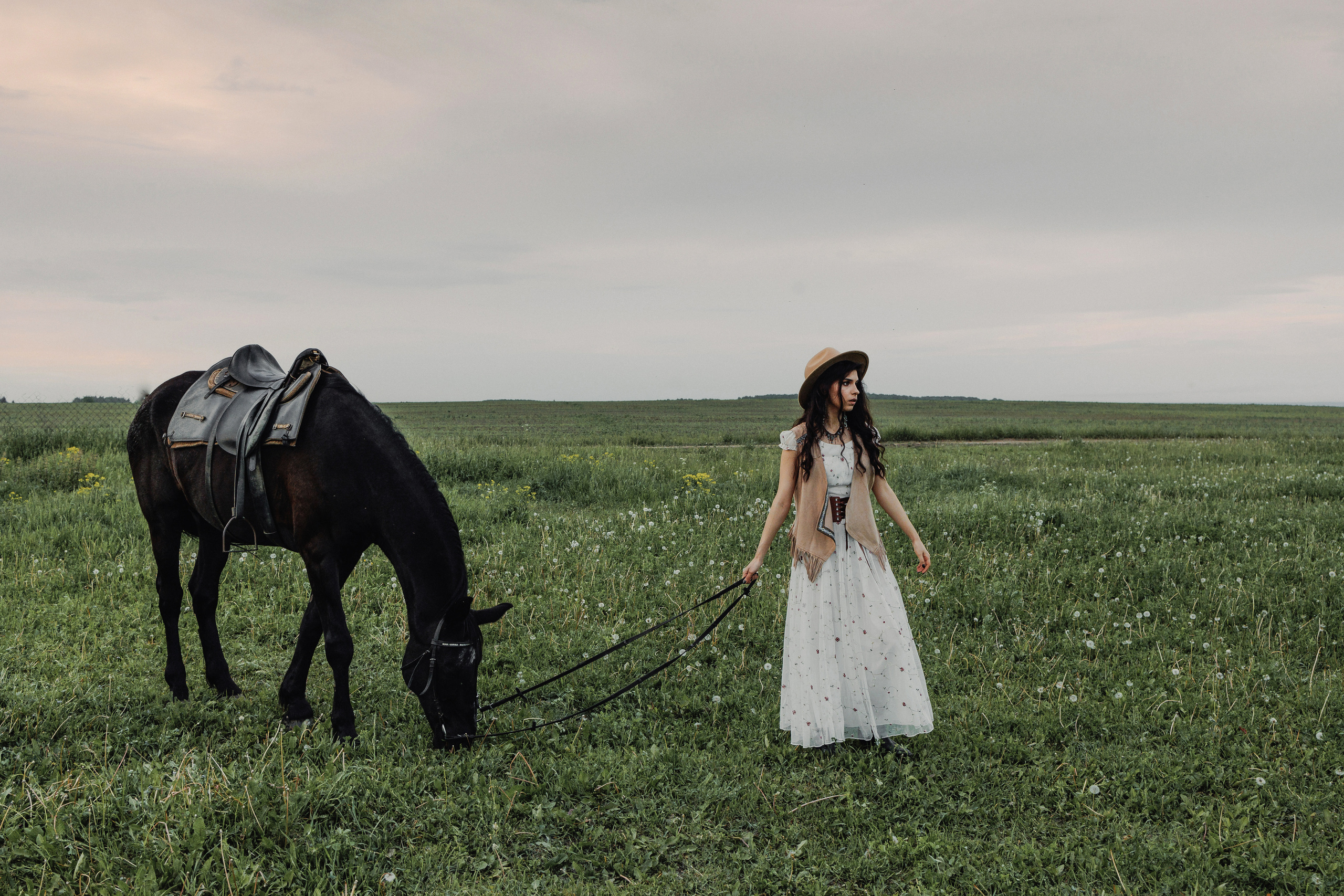 летняя фотосъёмка в поле с лошадьми