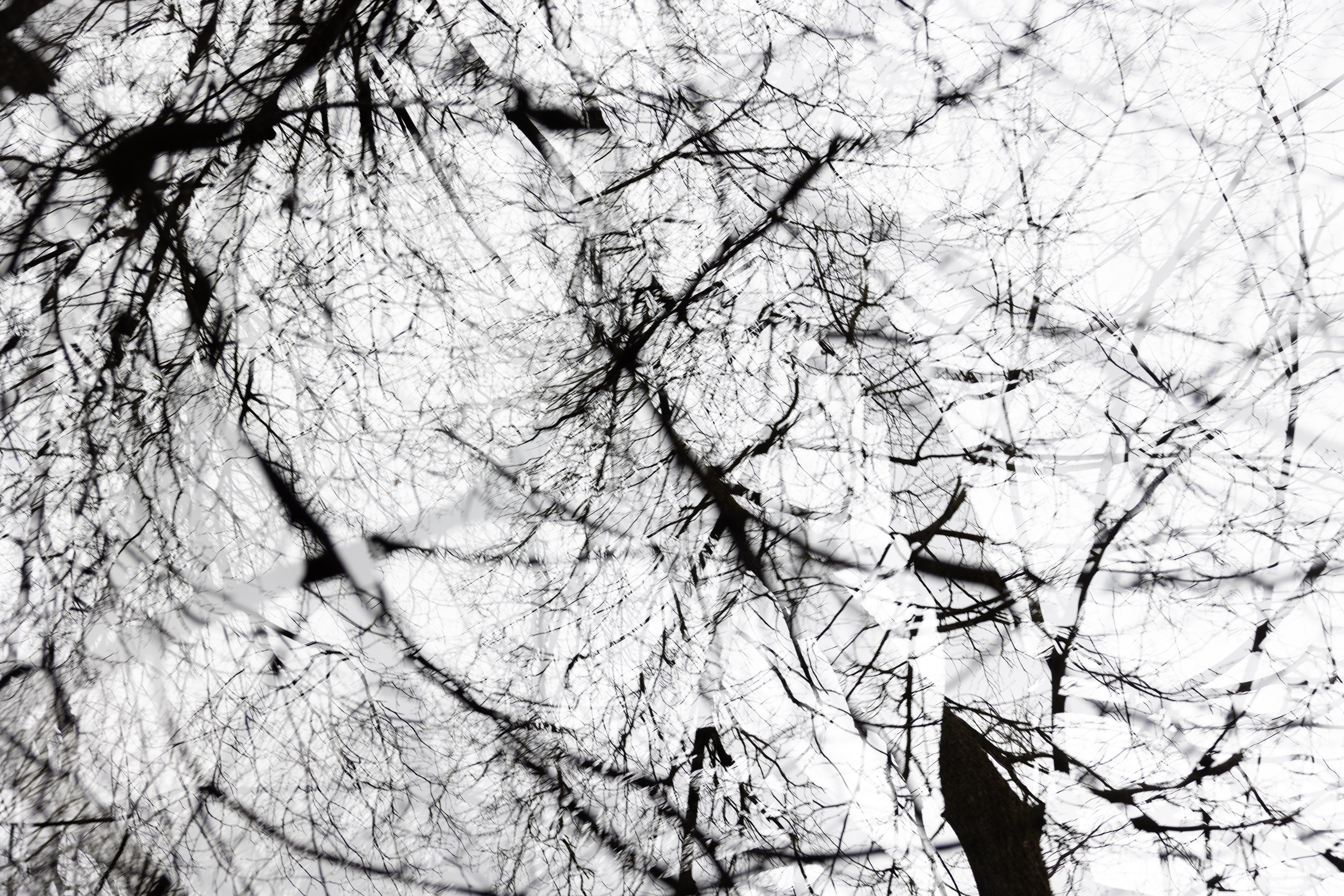 Art prints. Фотограф алина стерхова, алина стерхова фотограф, фотограф москва