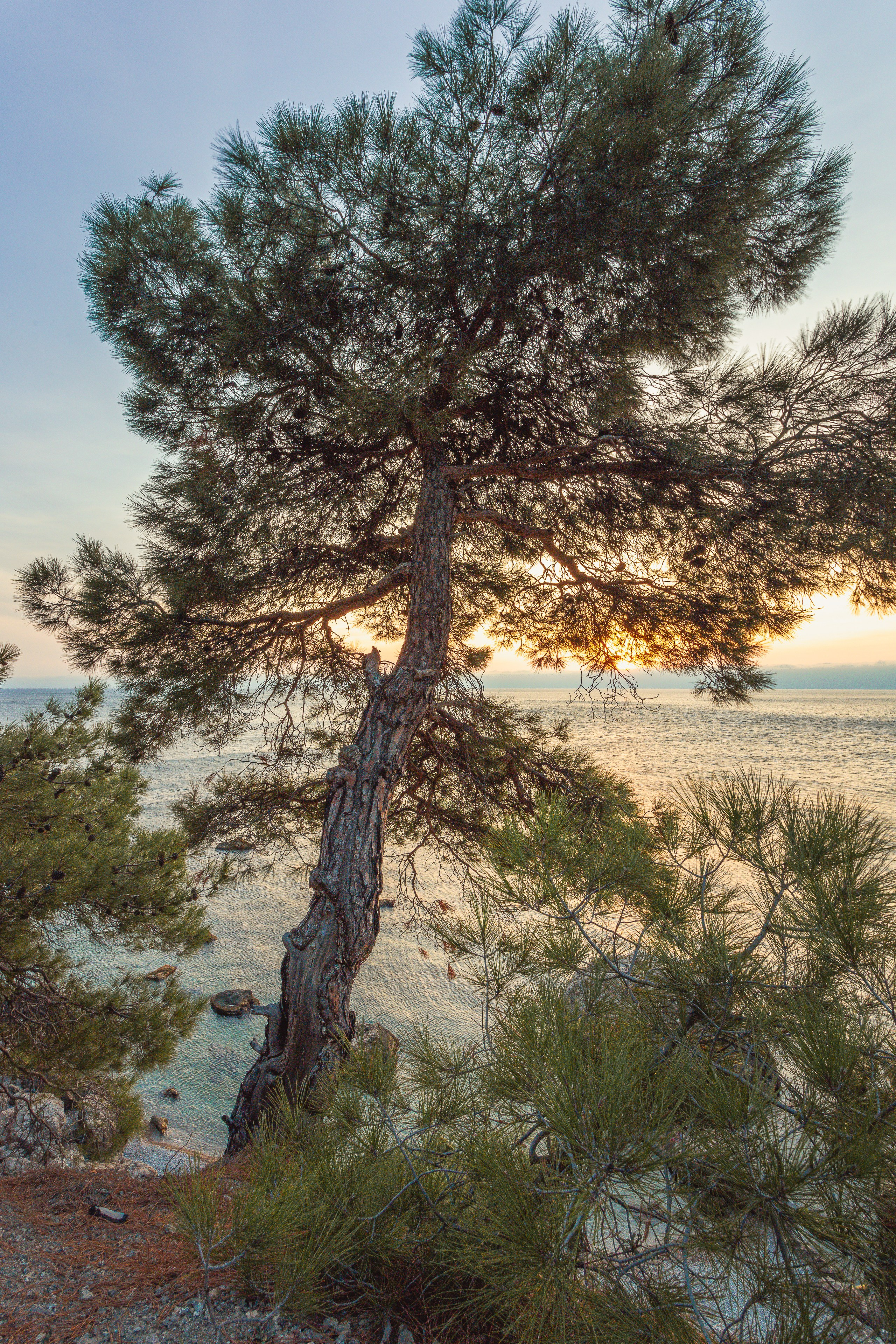 Пейзажная фотография. Фотошкола ArtFotoLife для начинающих и продвинутых фотографов