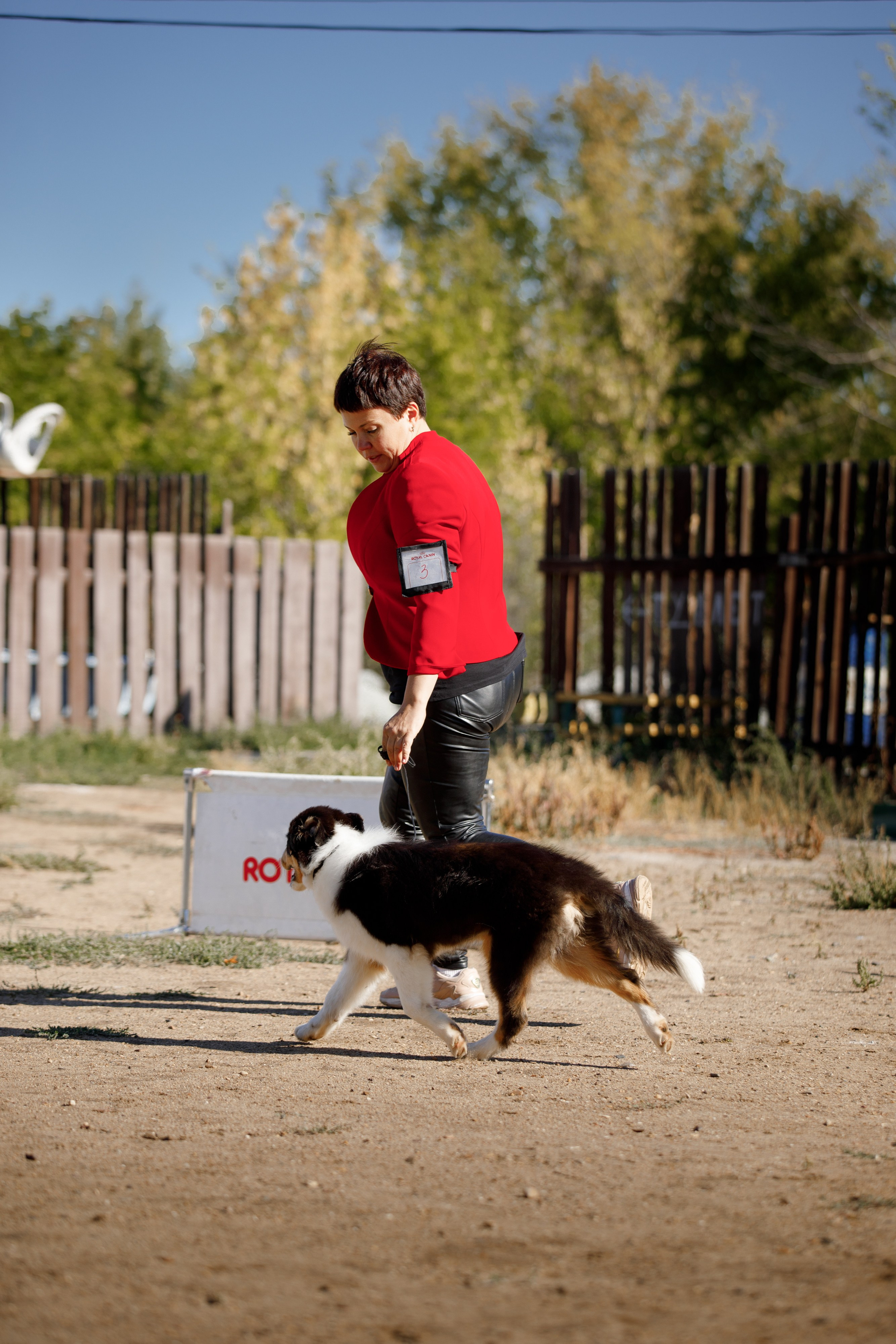 Водяные в Новотроицке. О нас