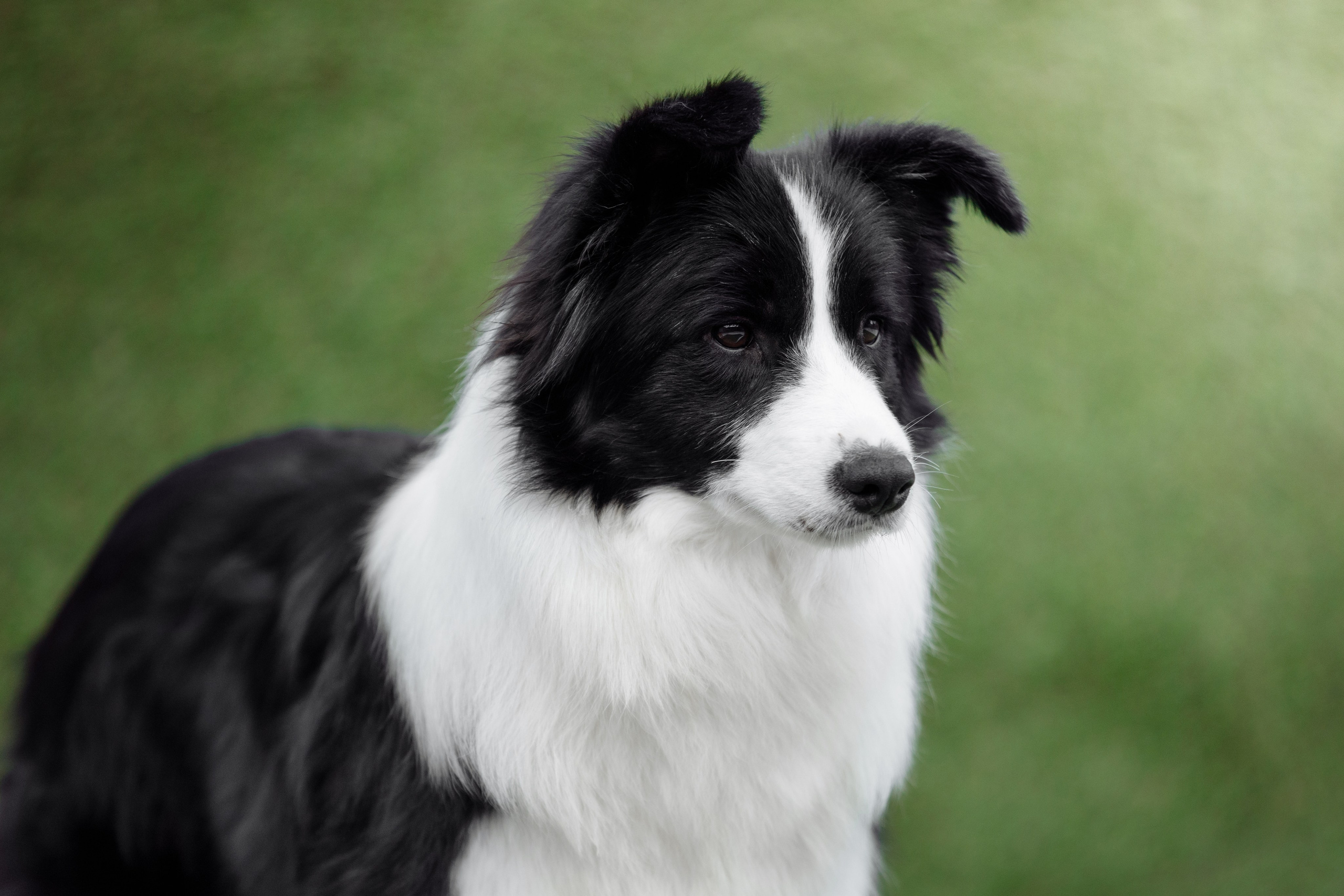 Свое место. О нас