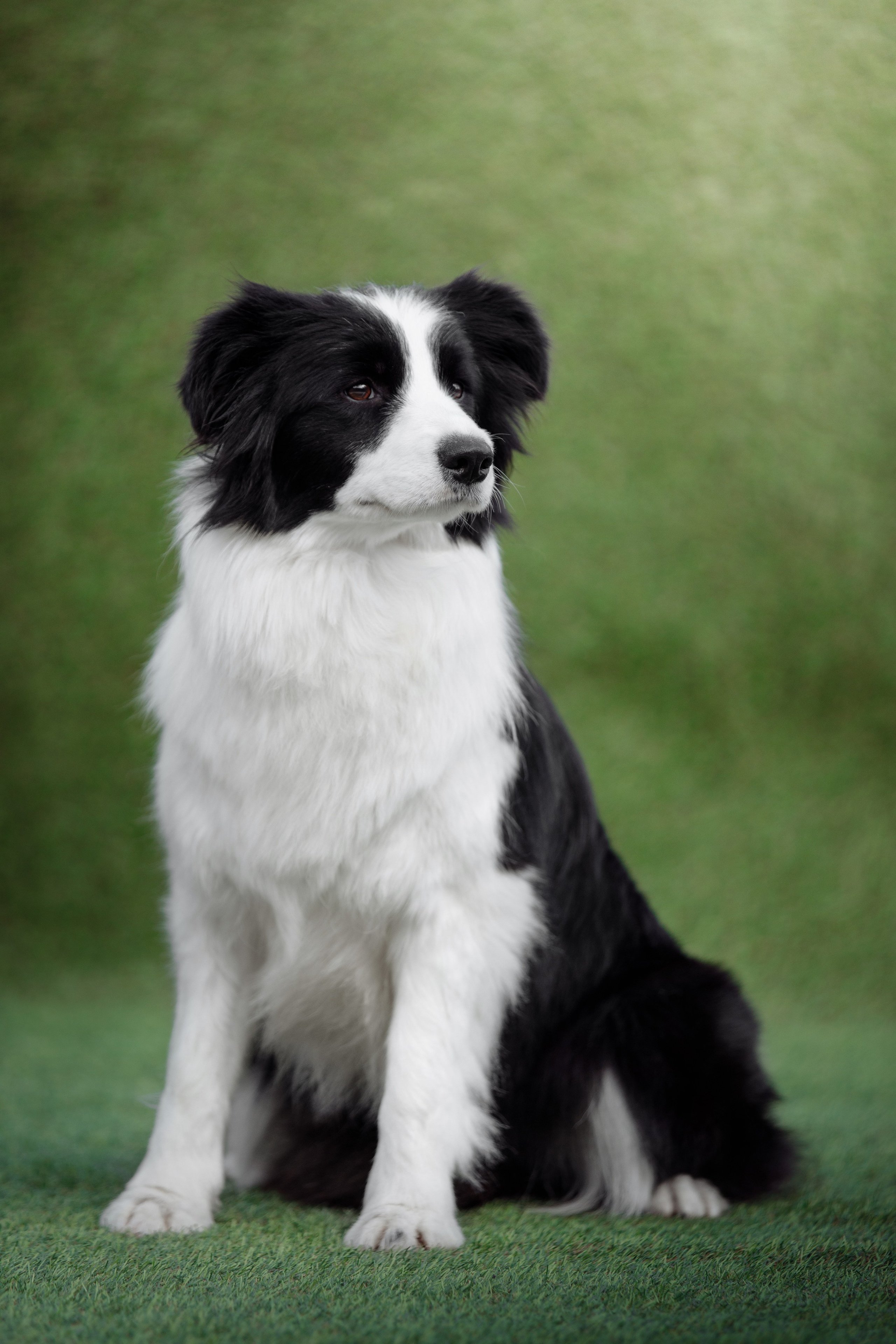 Hidden Charm Gravity Of Love — Грета. О нас