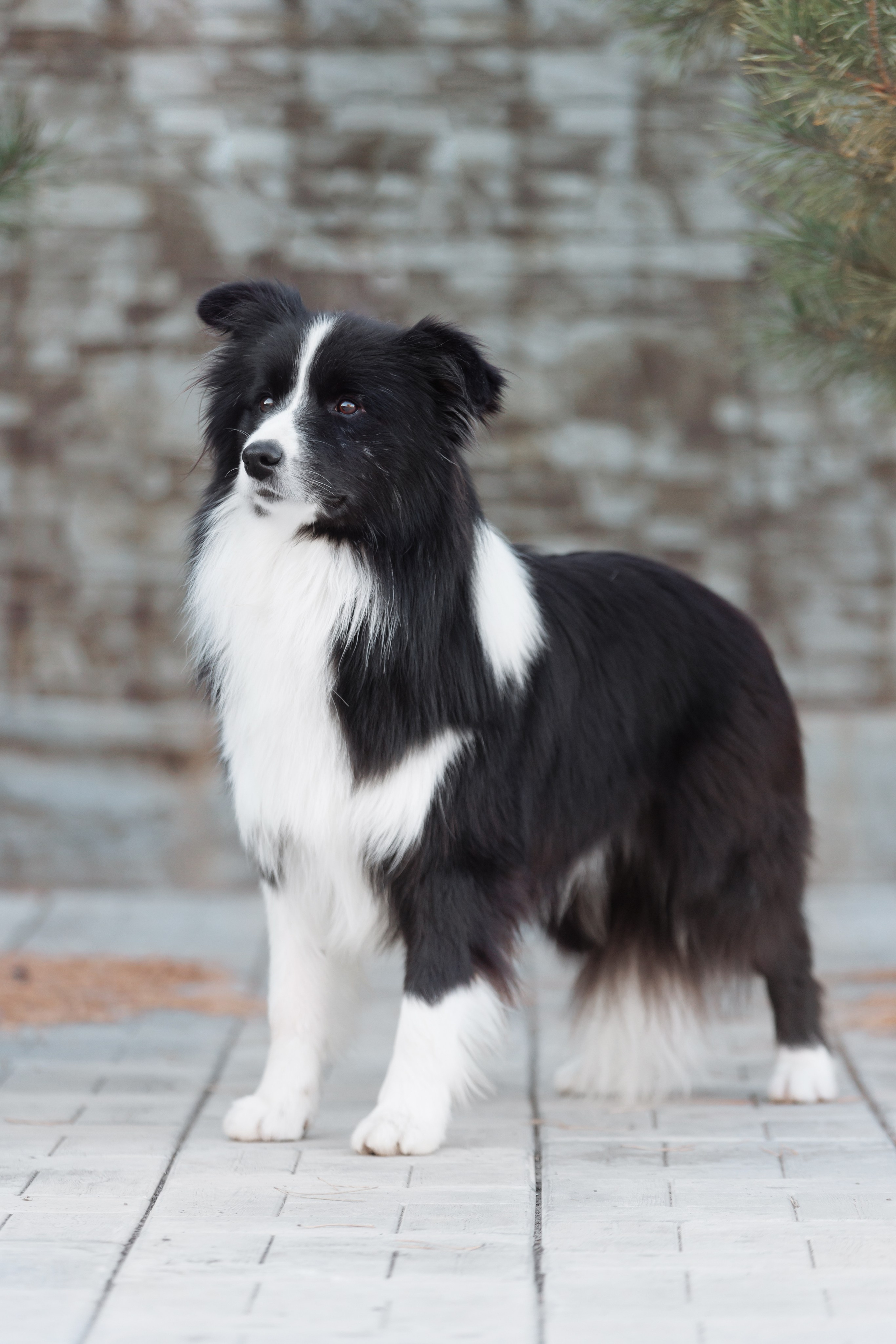 У дома с большой компанией от мала до велика. О нас