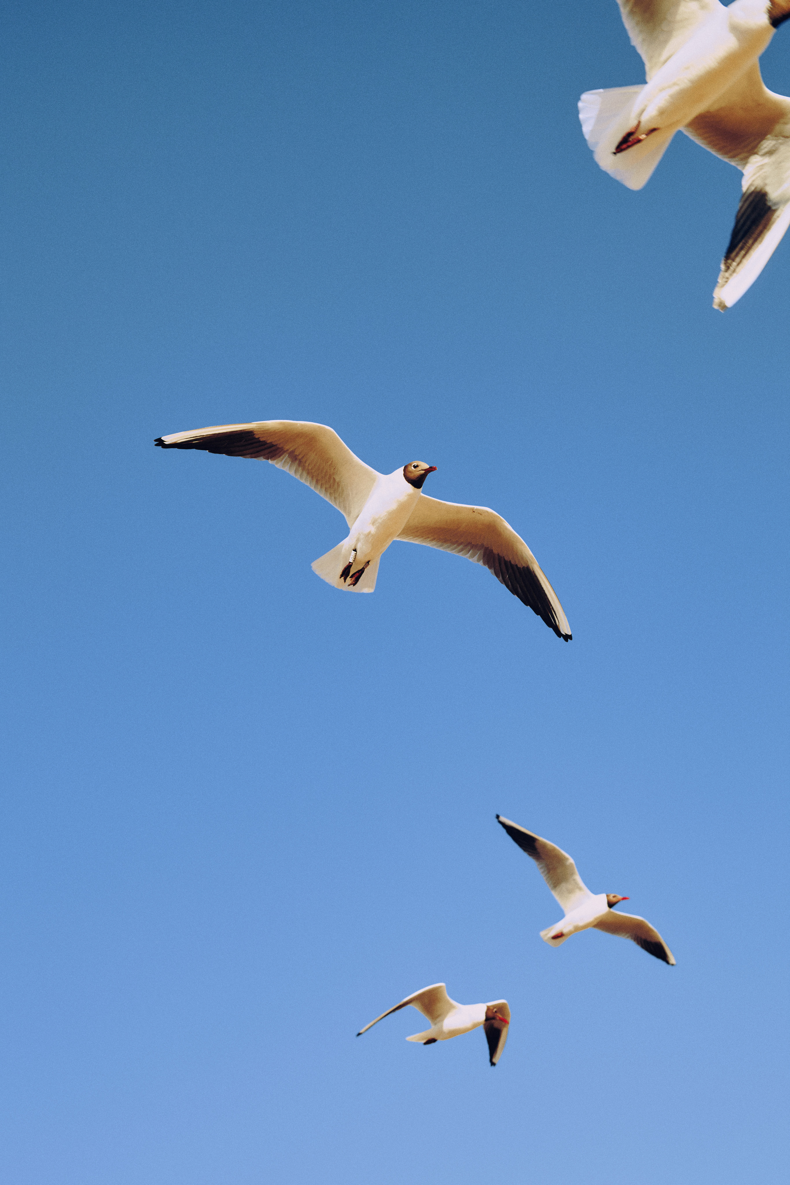 СОНЯ. Фотограф и видеограф в Санкт-Петербурге Прилепин Слава