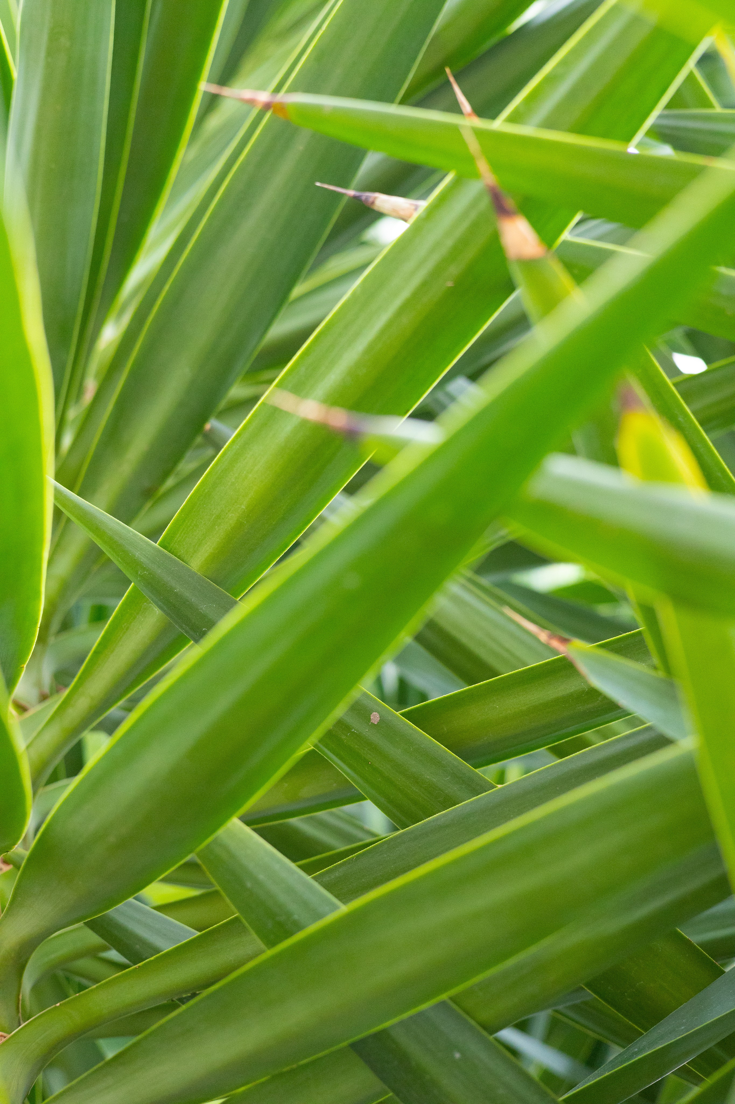 Secret Garden. ITMAG.ME | Visual Art