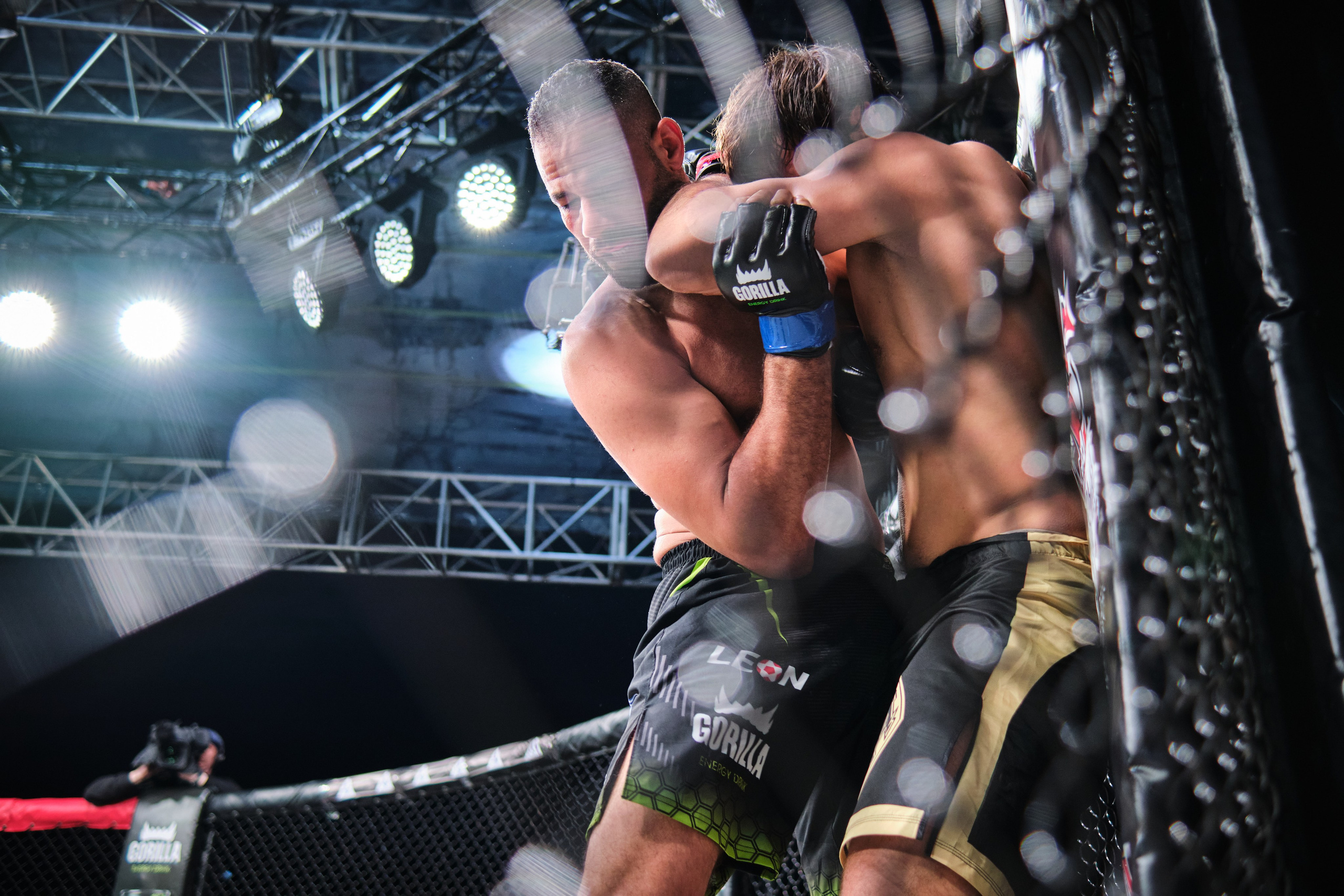 ММА на ПРО ГЕШ. Свадебный и семейный фотограф в Новокузнецке Иван Иванов