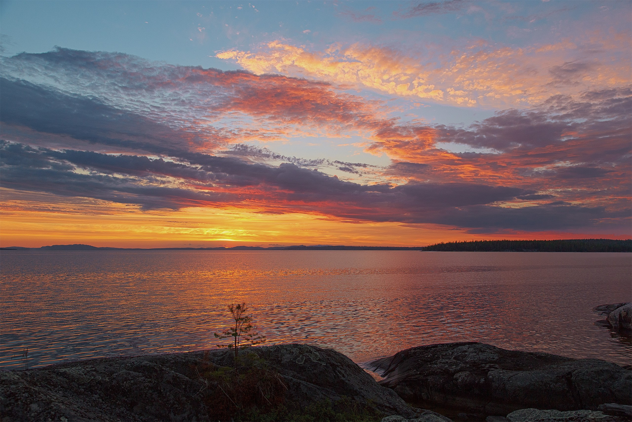 Пейзажи. Сайт фотографа Елены Михайловой. Фотосессии на пленэре в Сестрорецке