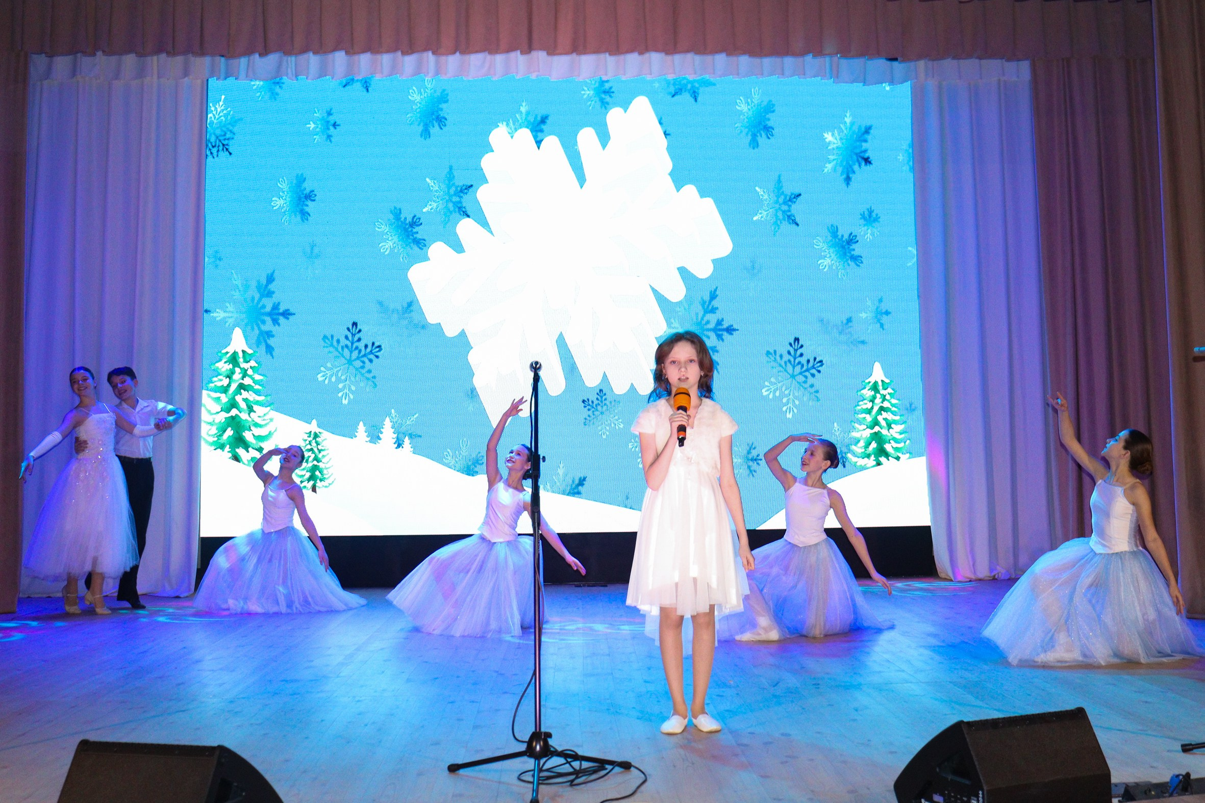 Новогодний концерт Шишли-Мышли