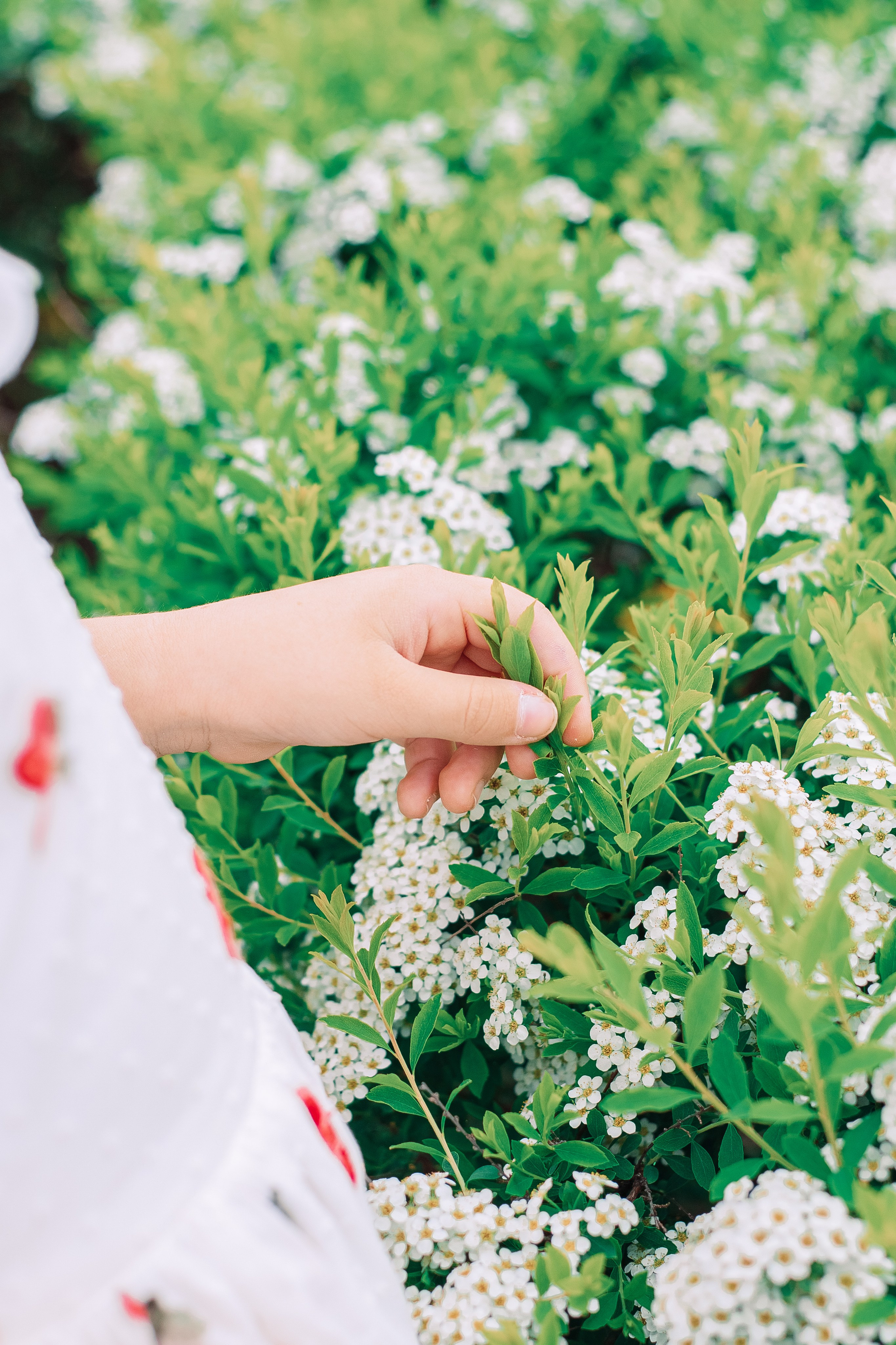 Фотосессия мамы и дочки цветение — Муринский парк. Фотограф в Санкт-Петербурге, Анна Скворцова