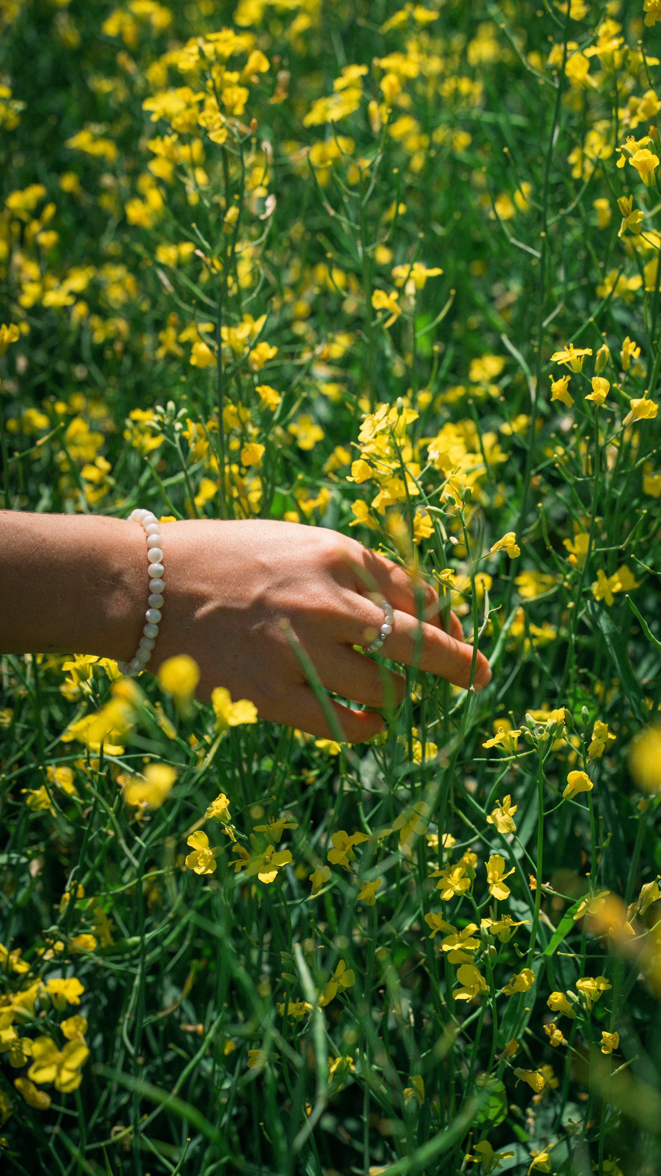 Портретная фотосессия – фотограф Дмитрий Баранов. Портретный фотограф в Иваново — Дмитрий Баранов