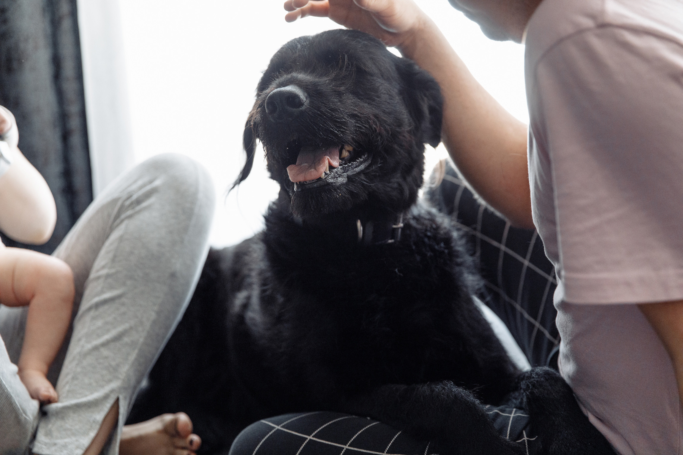 Семейная фотосессия | Фотограф Анна Руданова. Вера, Артем и Марк