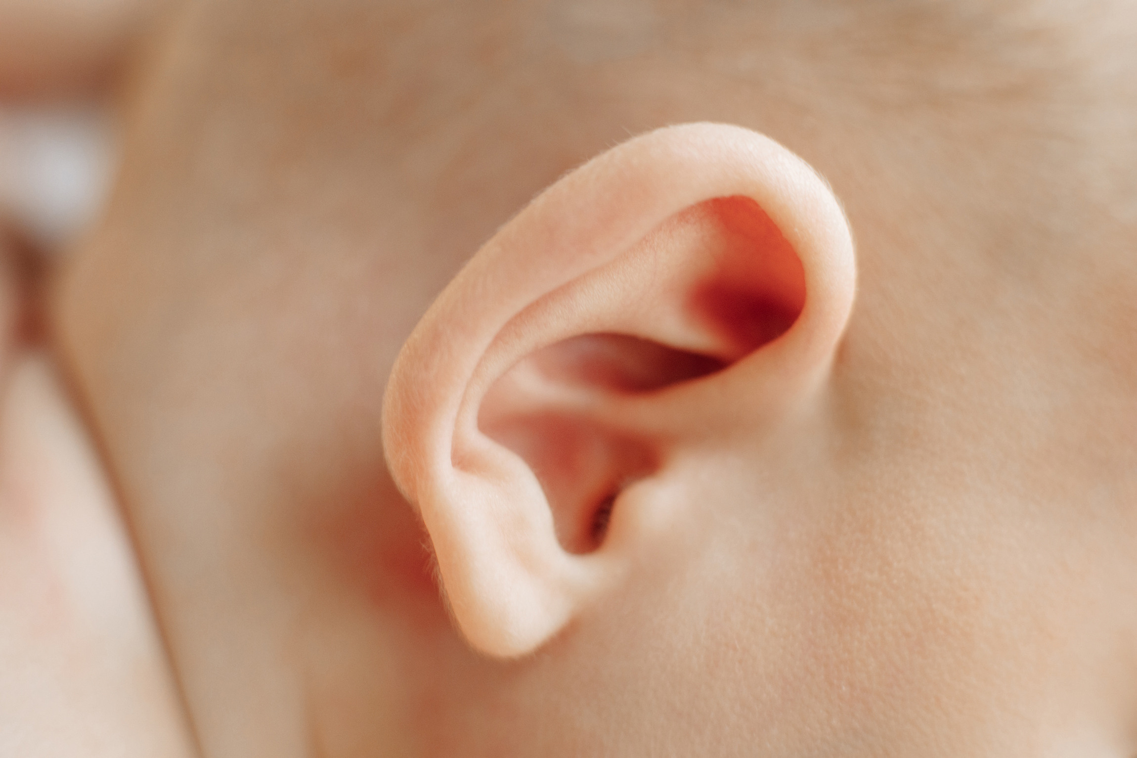 Семейная фотосессия | Фотограф Анна Руданова. Вера, Артем и Марк