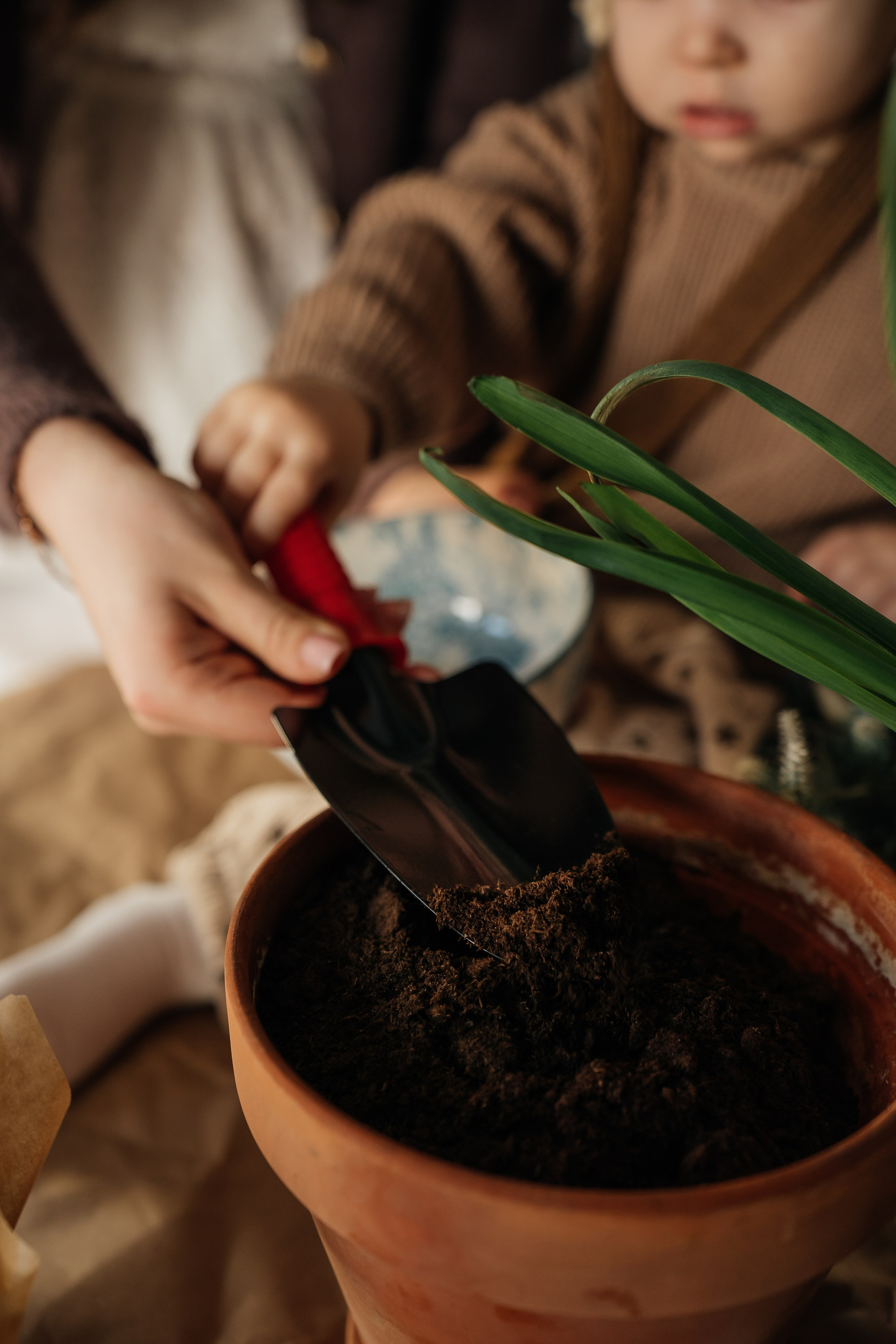 Ева и Софья. Семейный и свадебный фотограф в Саратове Евангелина Штах