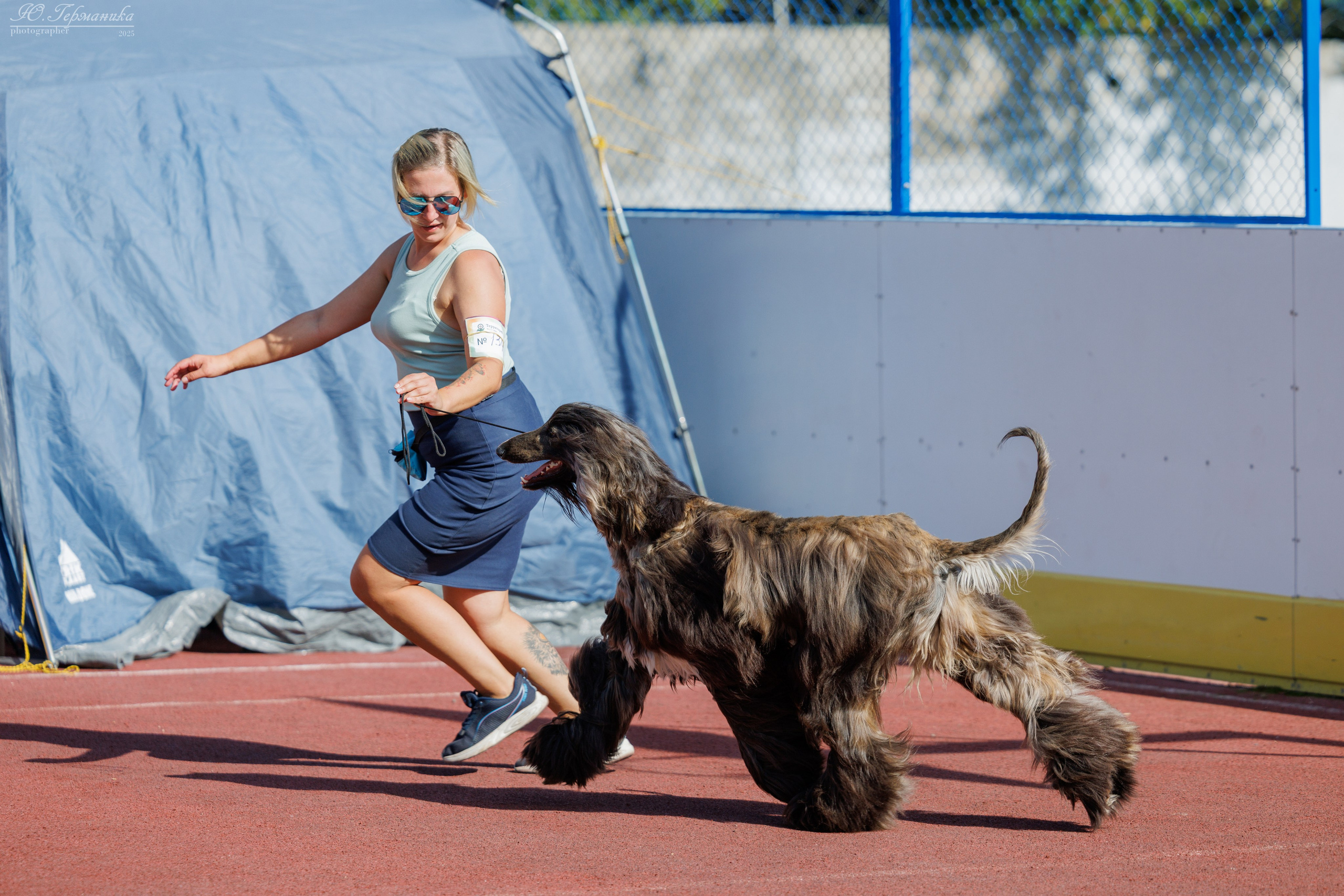 Коломна 30.08.2025. Фотограф-анималист Юлия Германика