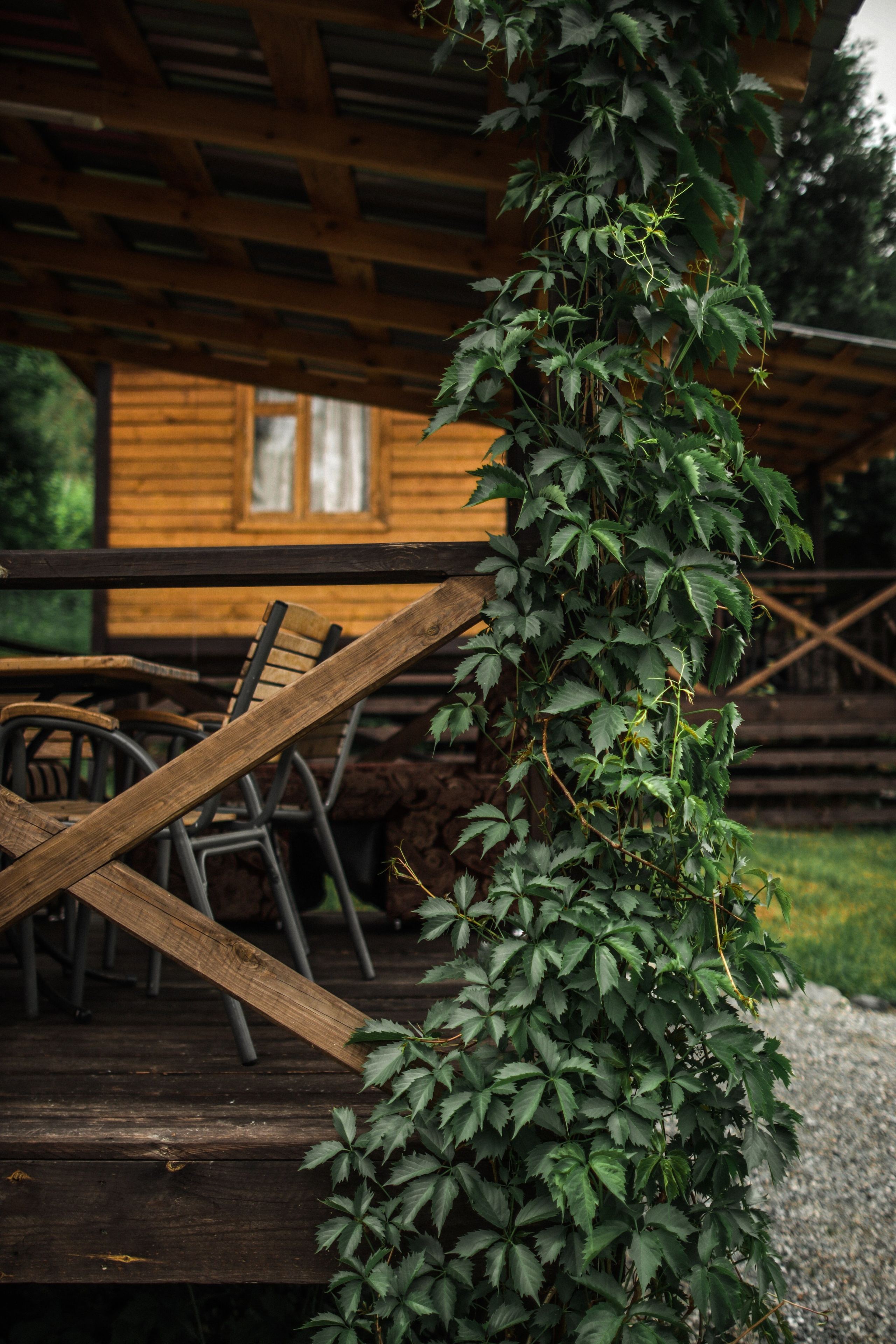 «Красный камень» база отдыха, респ. Алтай. Контент фотограф Дмитрий Борисов