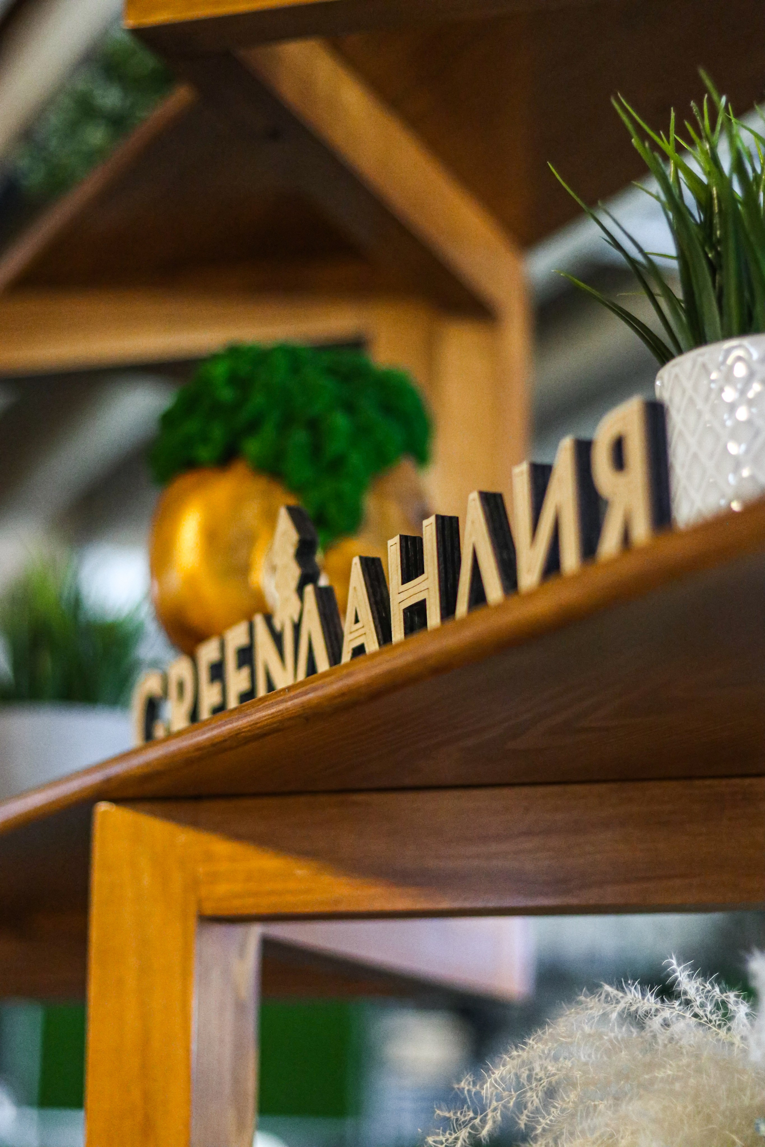 «GREEN Ландия‎» отель, респ. Алтай. Контент фотограф Дмитрий Борисов