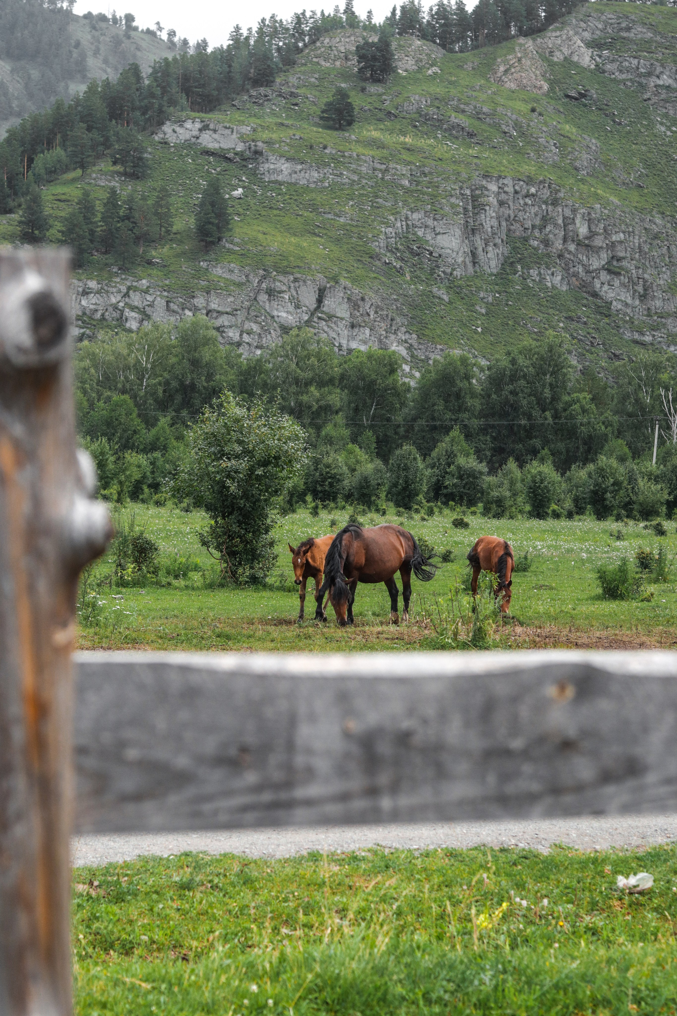 «Вдох» эко-отель, респ. Алтай. Контент фотограф Дмитрий Борисов