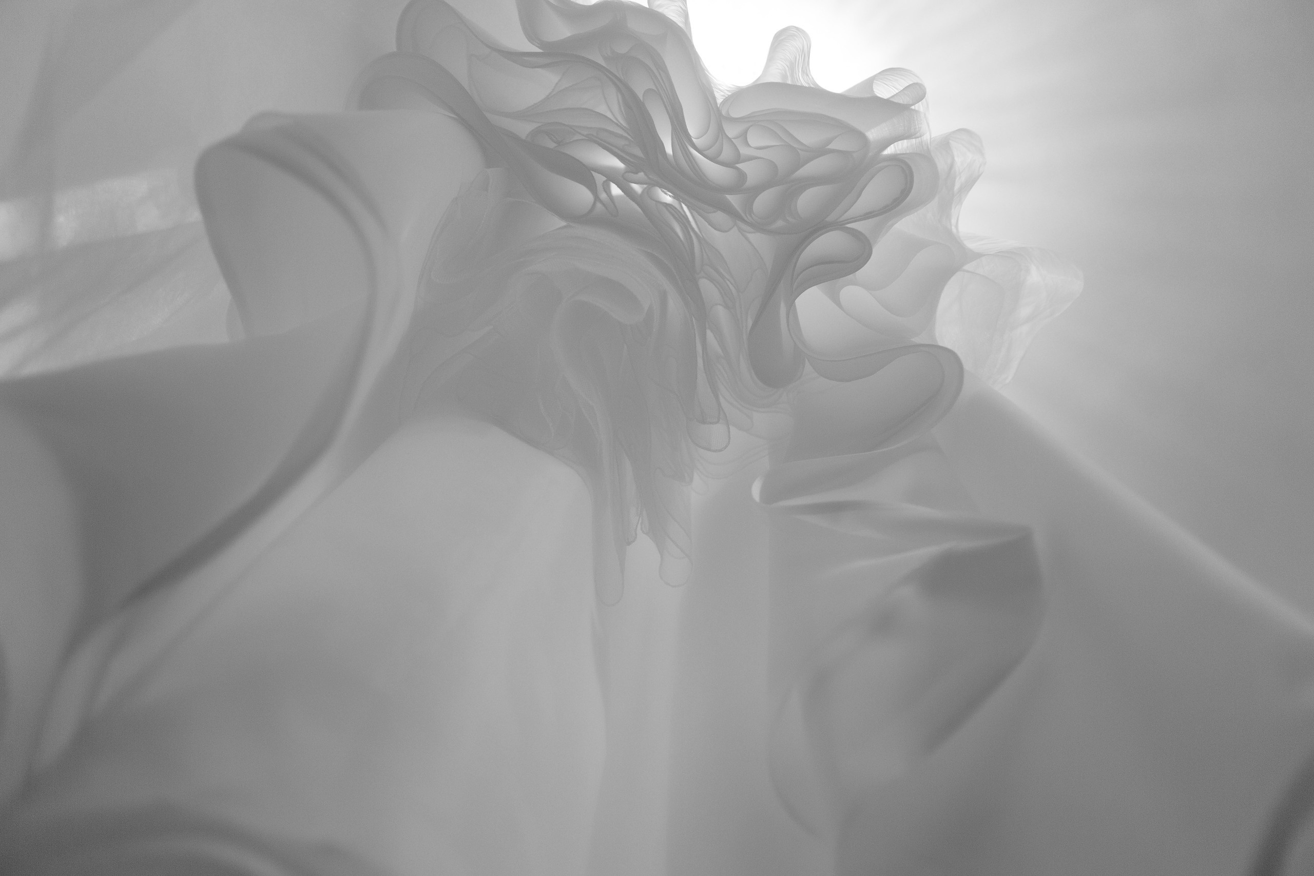 Фотограф в Краснодаре. Фотограф Андрей Баксов