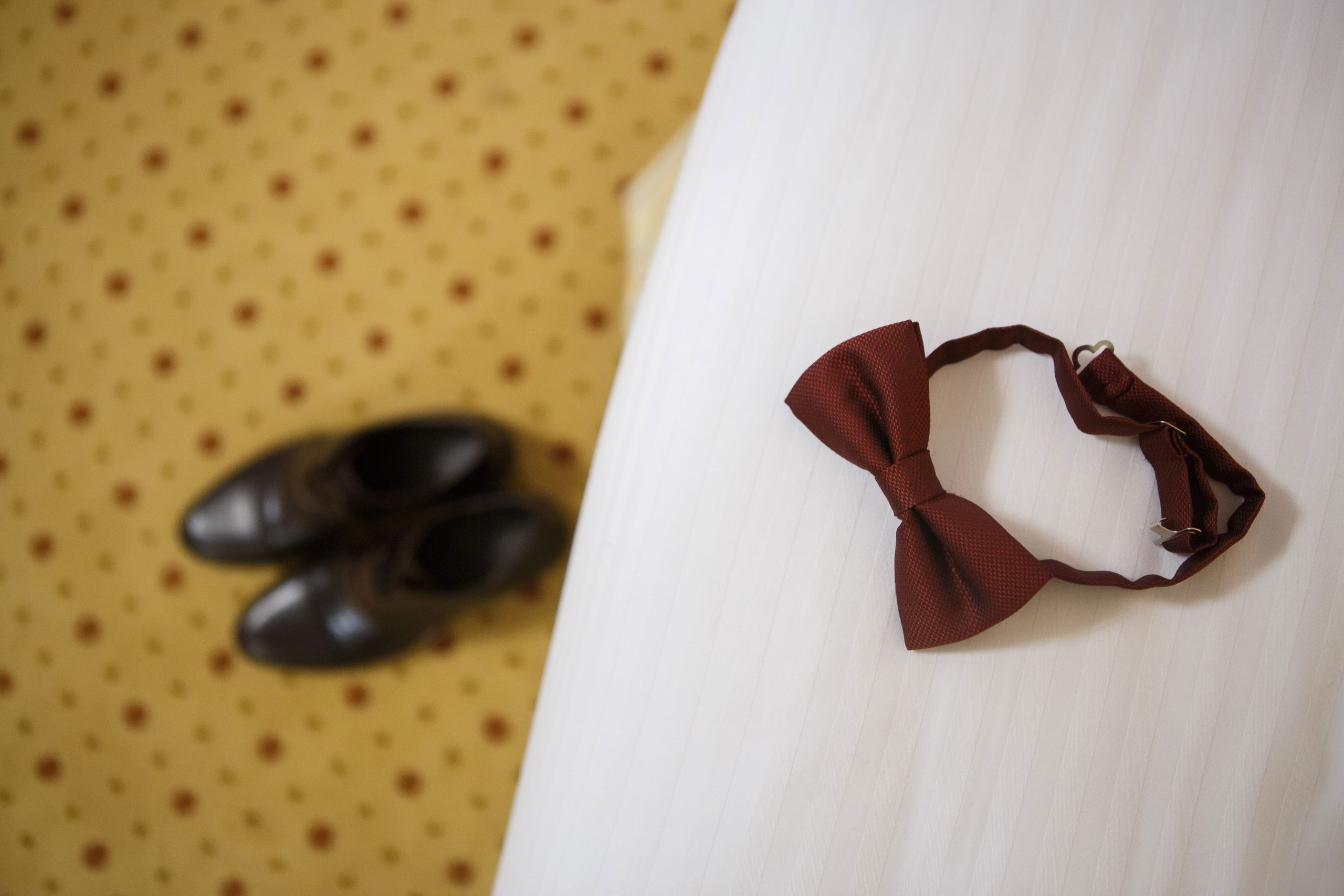 Фотограф в Краснодаре. Фотограф Андрей Баксов