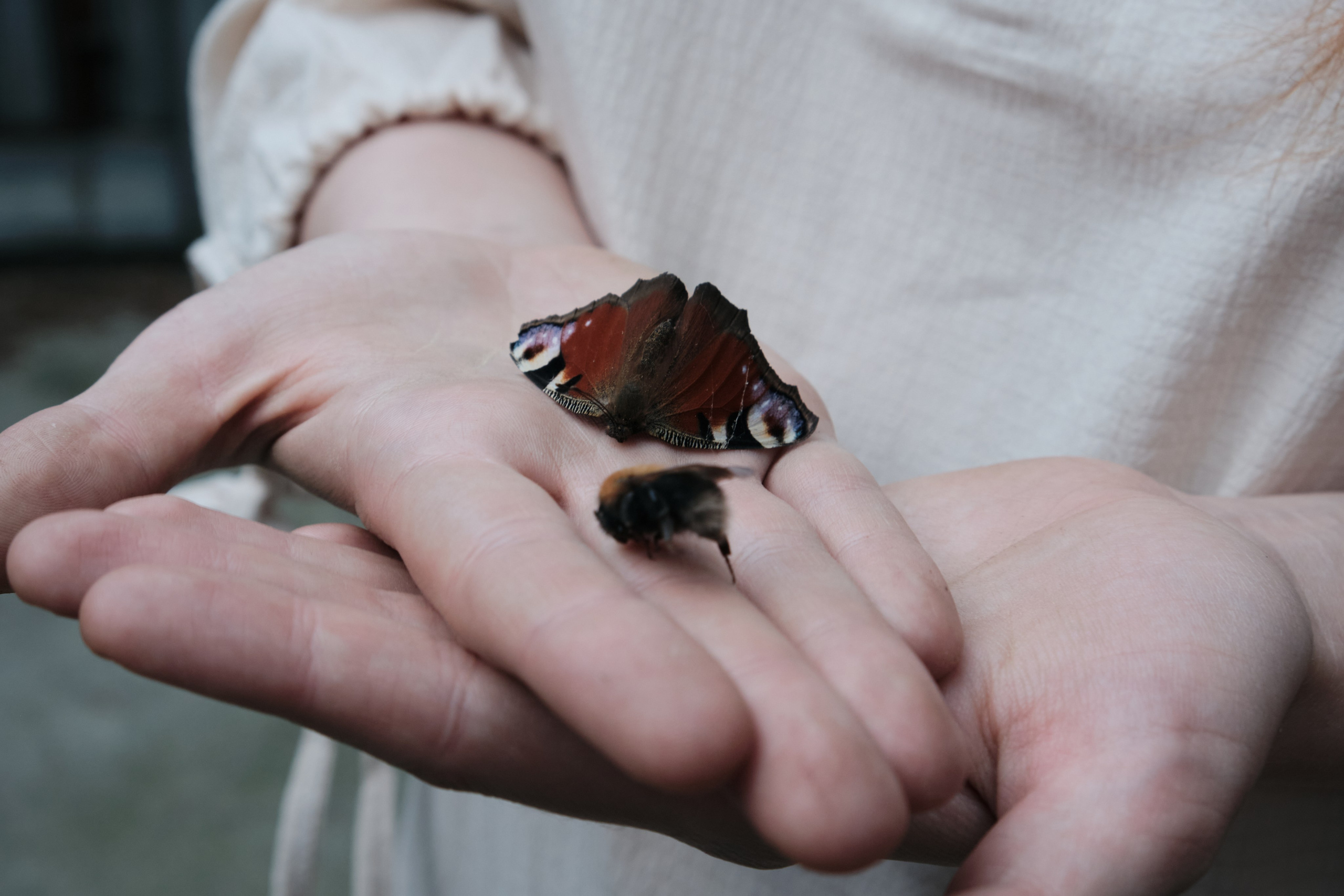 «Тишина. И только ты один». Izma photos