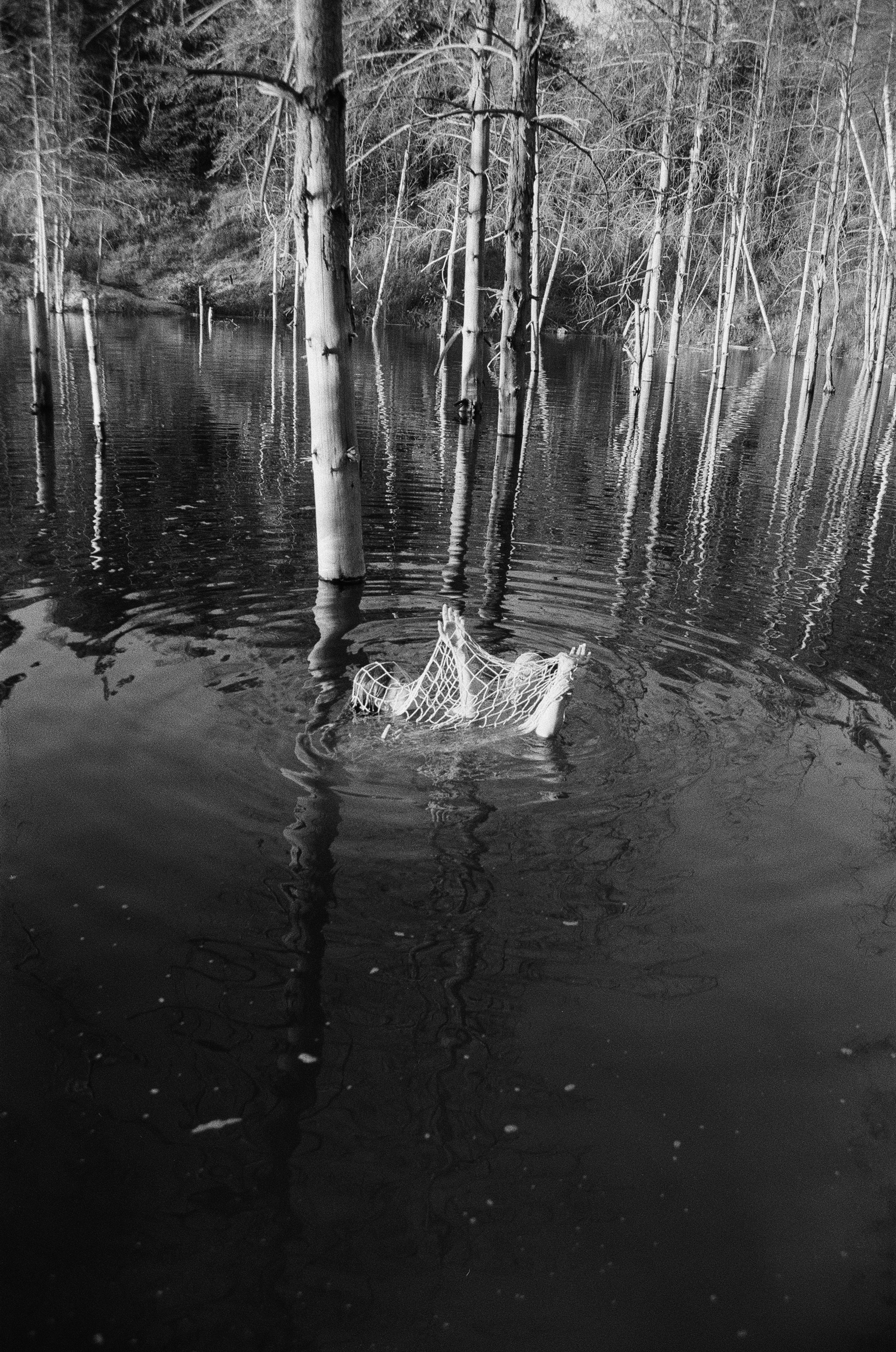 Фотограф | Киреев Семён | Москва
