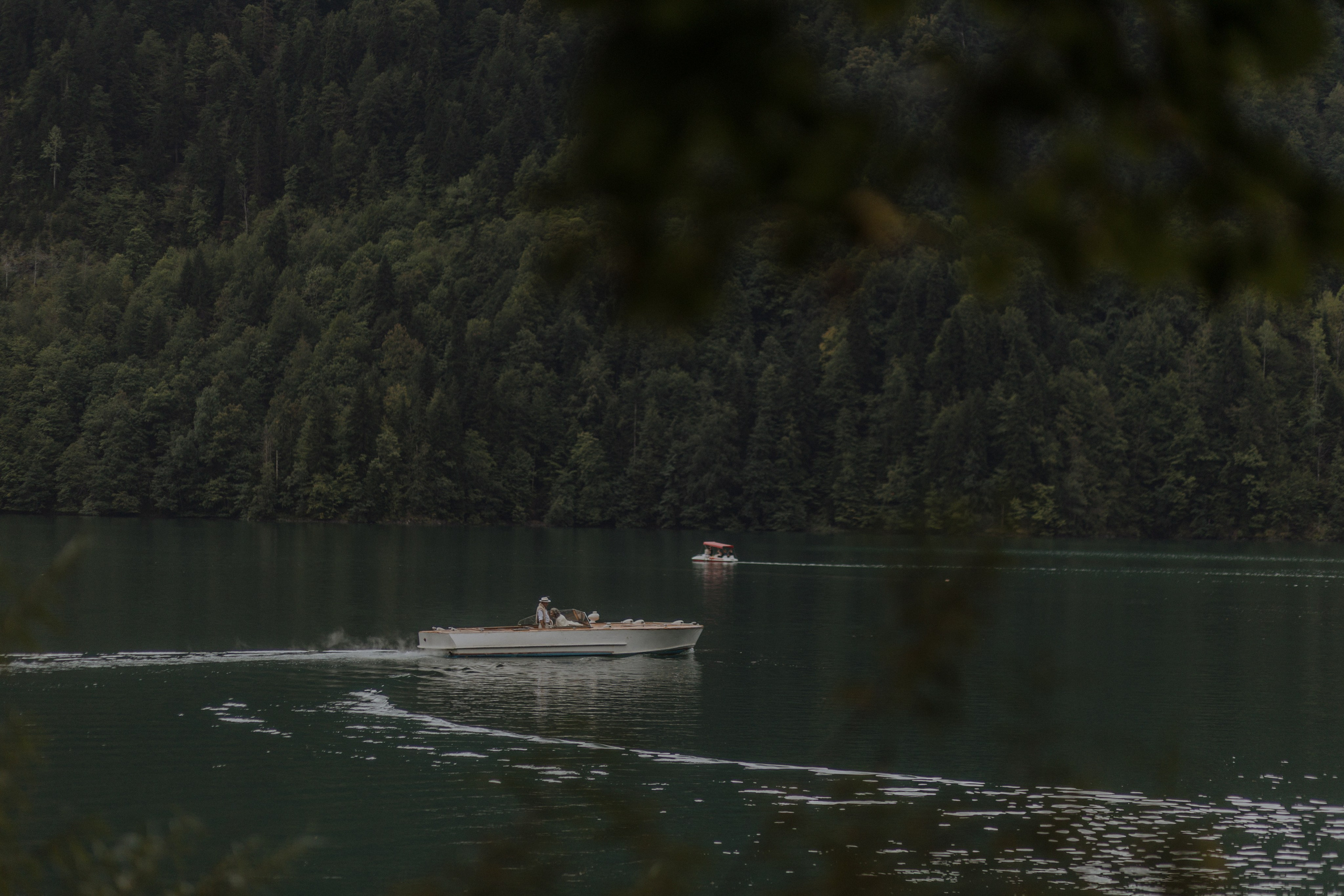 Рица. Фотограф Мальнева Юлия в Липецке, в Москве. Фотостудия MARU в Липецке