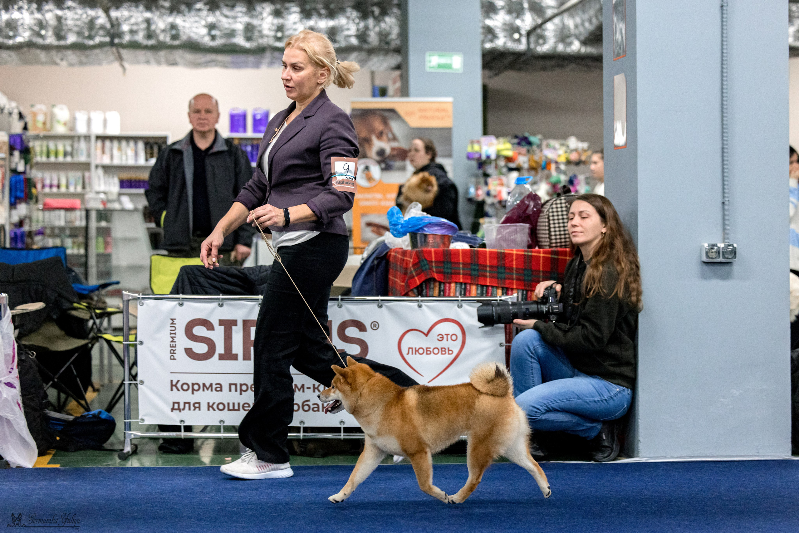 Сфера 29.10,Крокус 4.11,Сфера 12.11.2023. Фотограф-анималист Юлия Германика