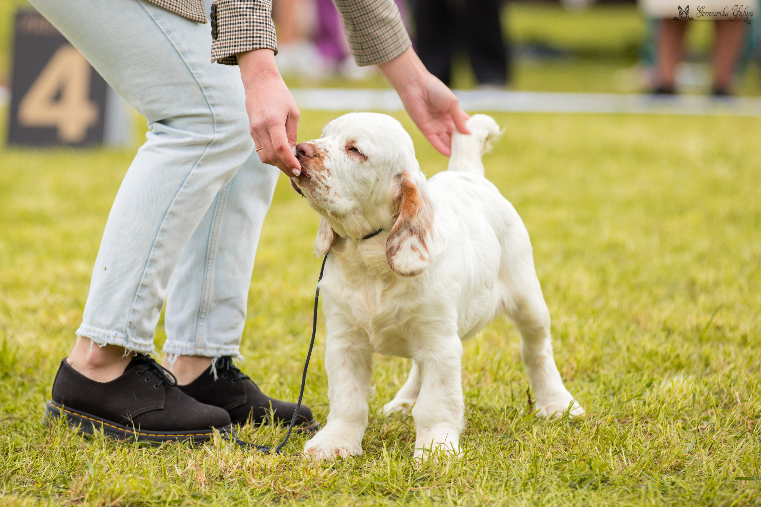 Переславль 9-10.09.2023. Фотограф-анималист Юлия Германика
