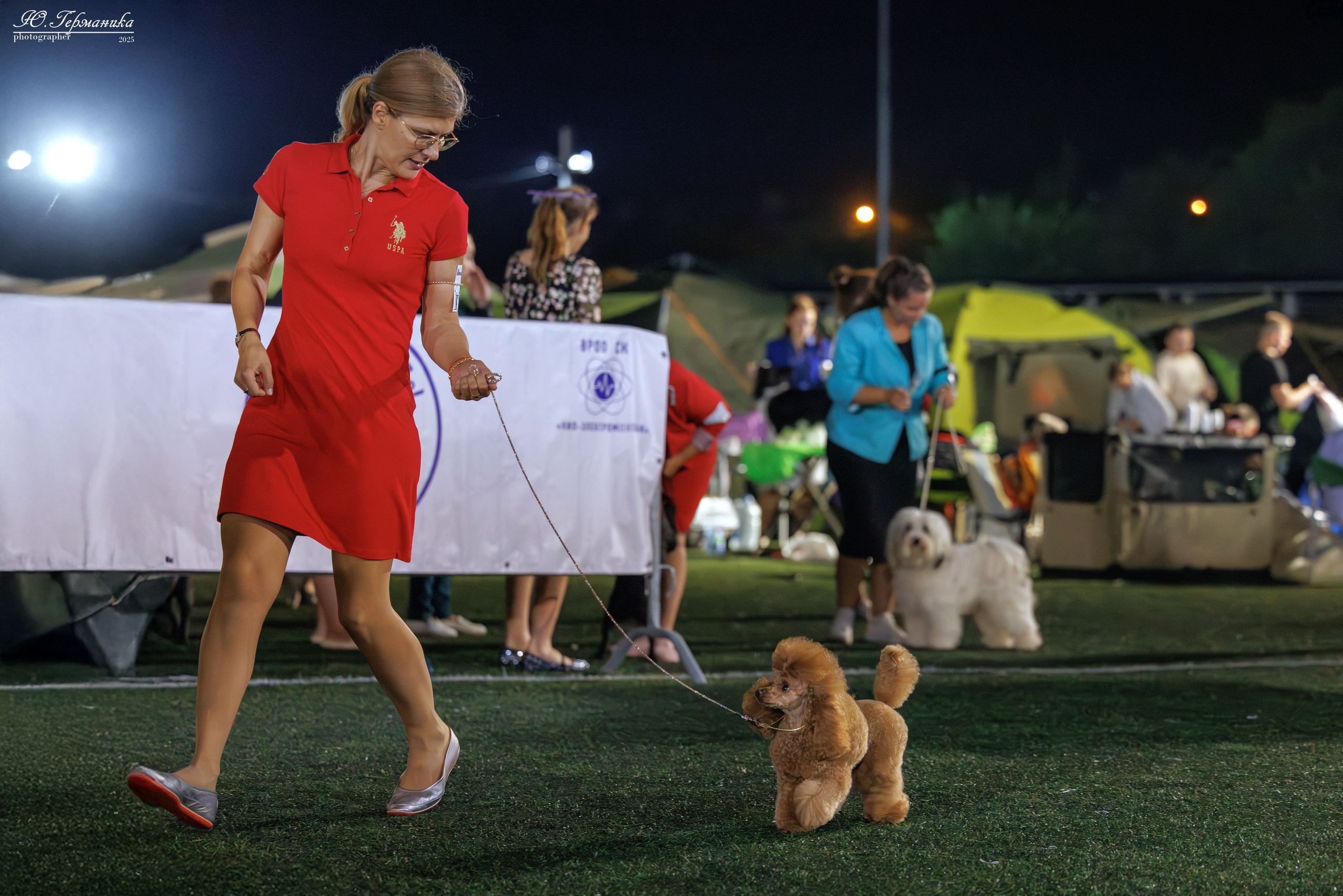 Калининград 25-27.07 Волгоград 1-3.08 2025. Фотограф-анималист Юлия Германика